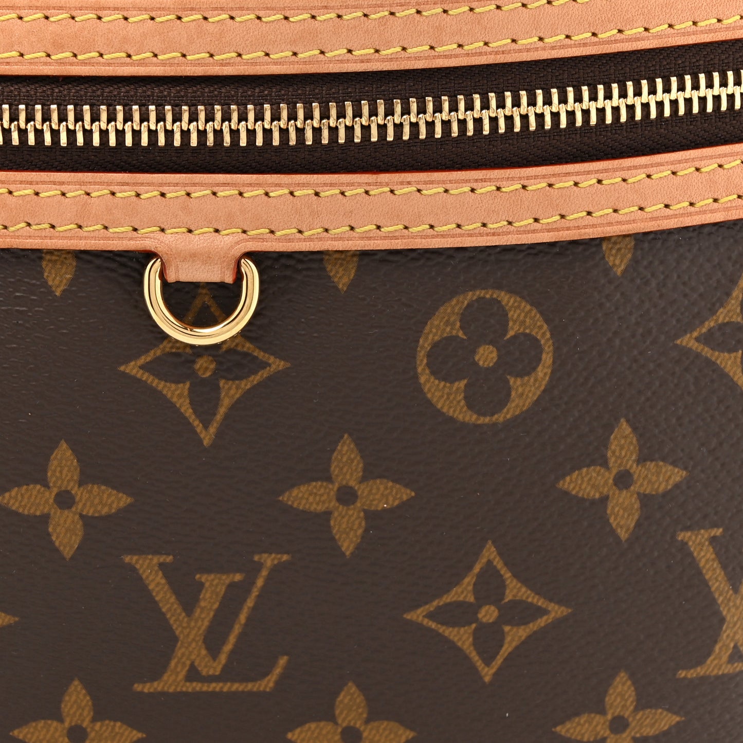 Monogram High Rise Bumbag