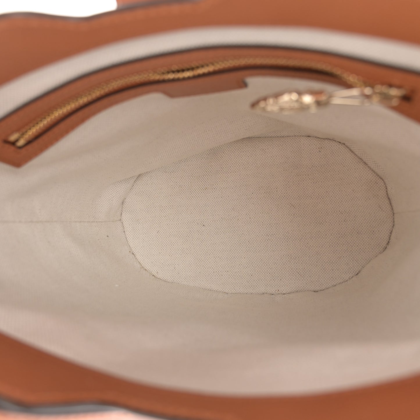 Tritone Calfskin Web Mini Ophidia Bucket Bag Brown