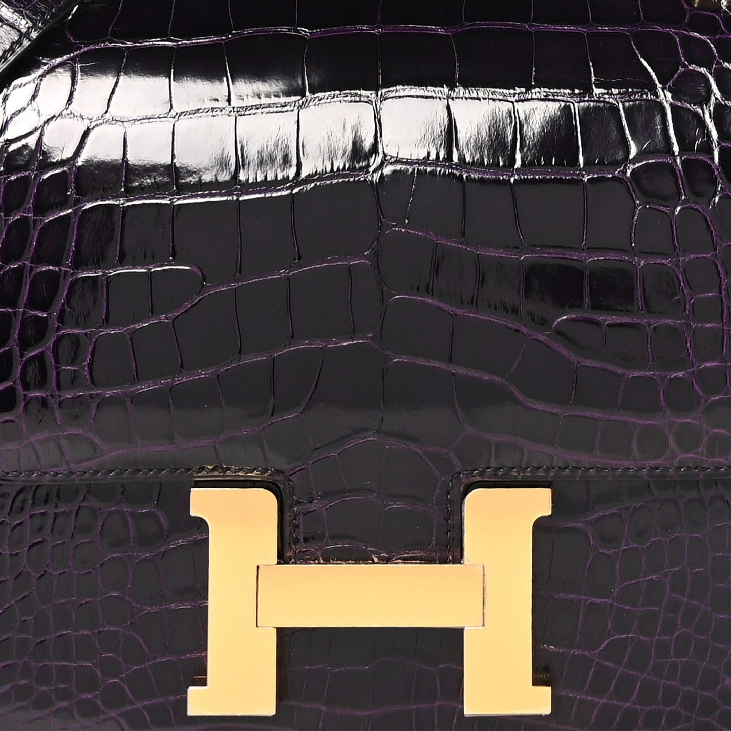 Shiny Alligator Constance 24 Aubergine