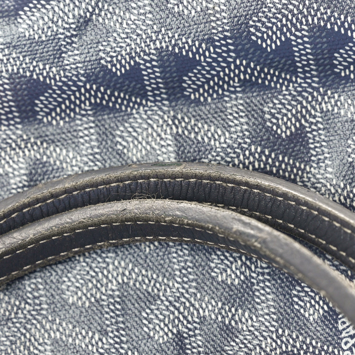 Goyard Goyardine Saint Louis PM Grey 14 of 14