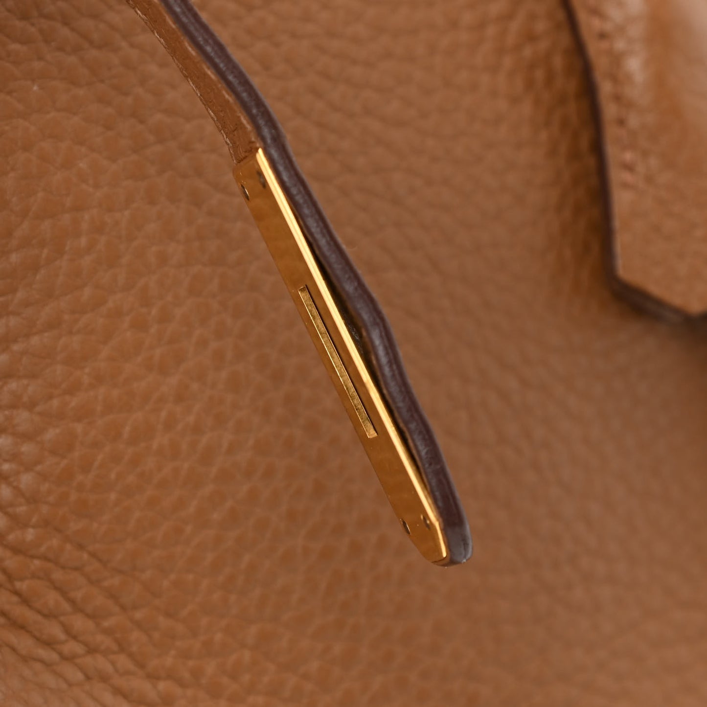 Togo Birkin 35 Alezan