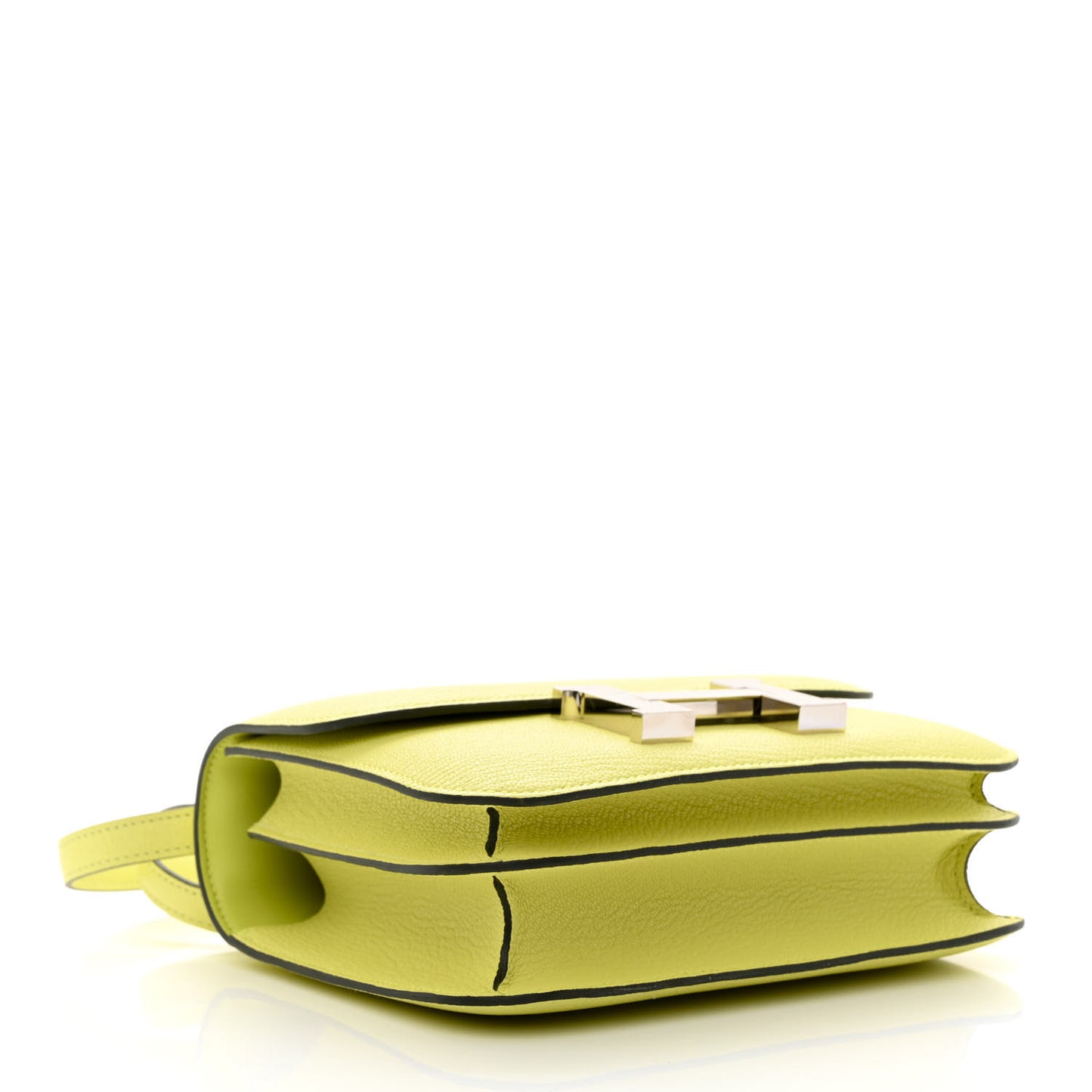 Chevre Mysore Constance 18 Jaune Bourgeon