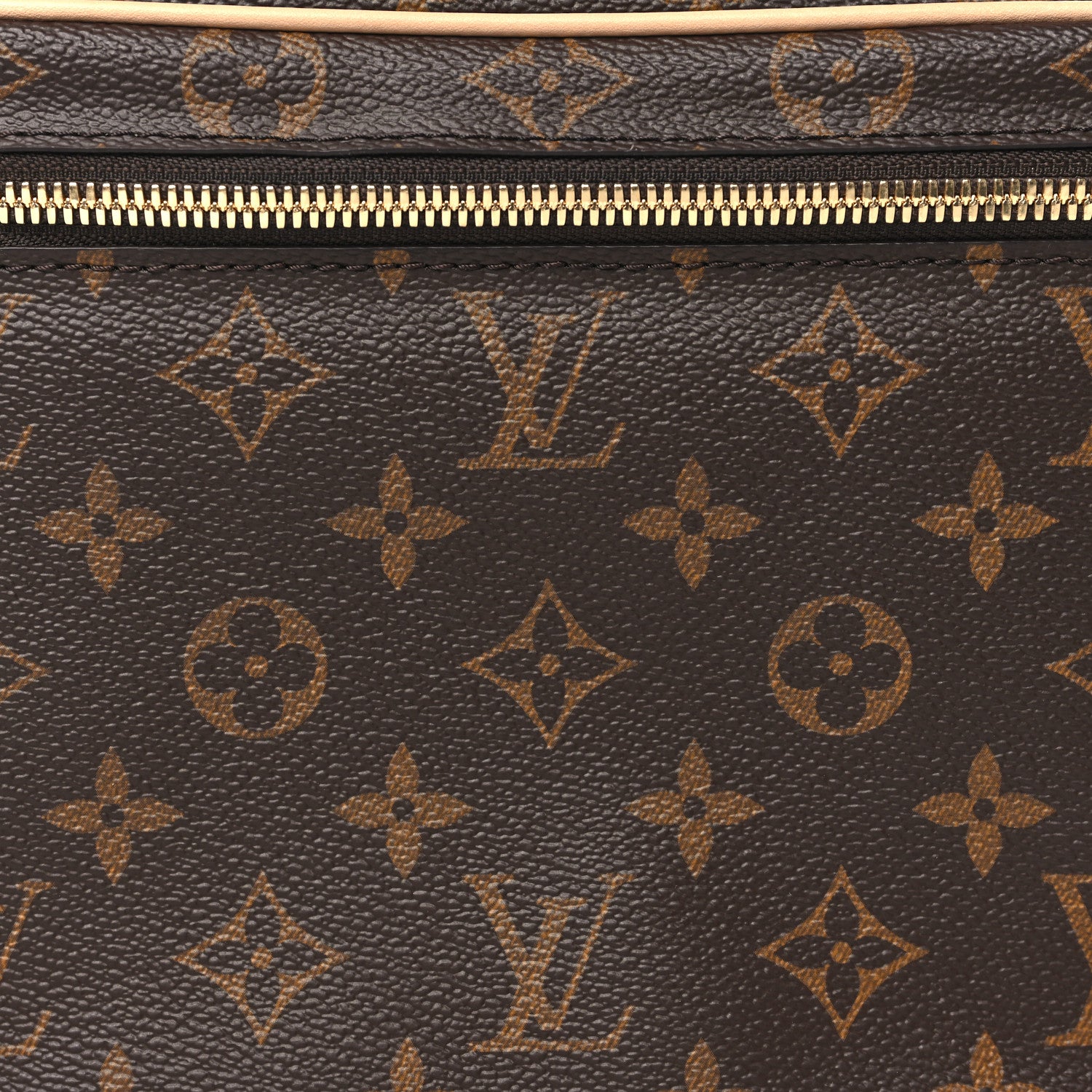 Louis Vuitton Monogram Nice BB 7 of 10