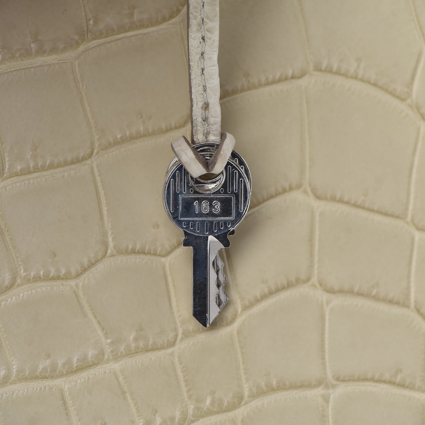 Matte Niloticus Crocodile Birkin 35 Beton