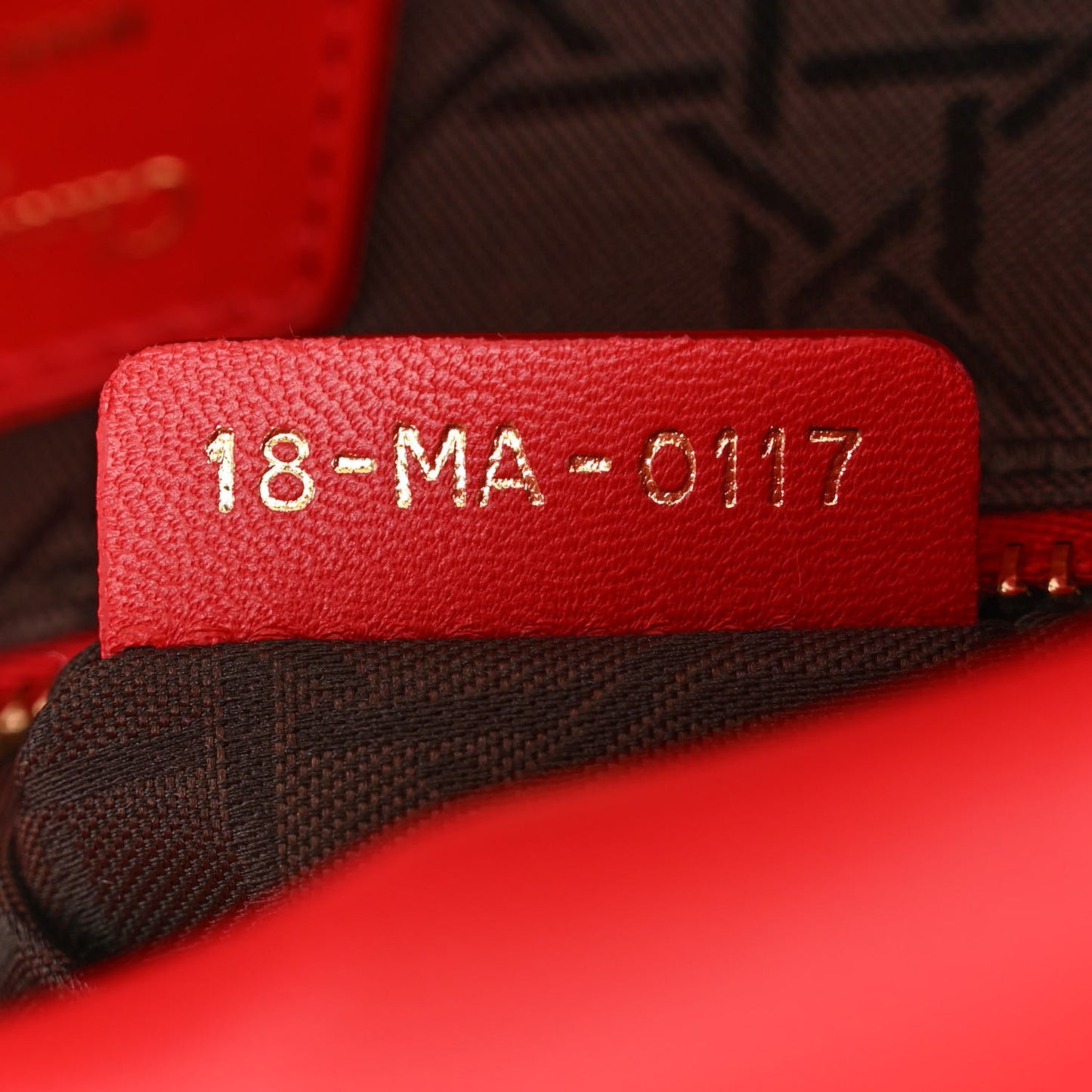 Lambskin Cannage Small Lucky Badges Lady Dior Red