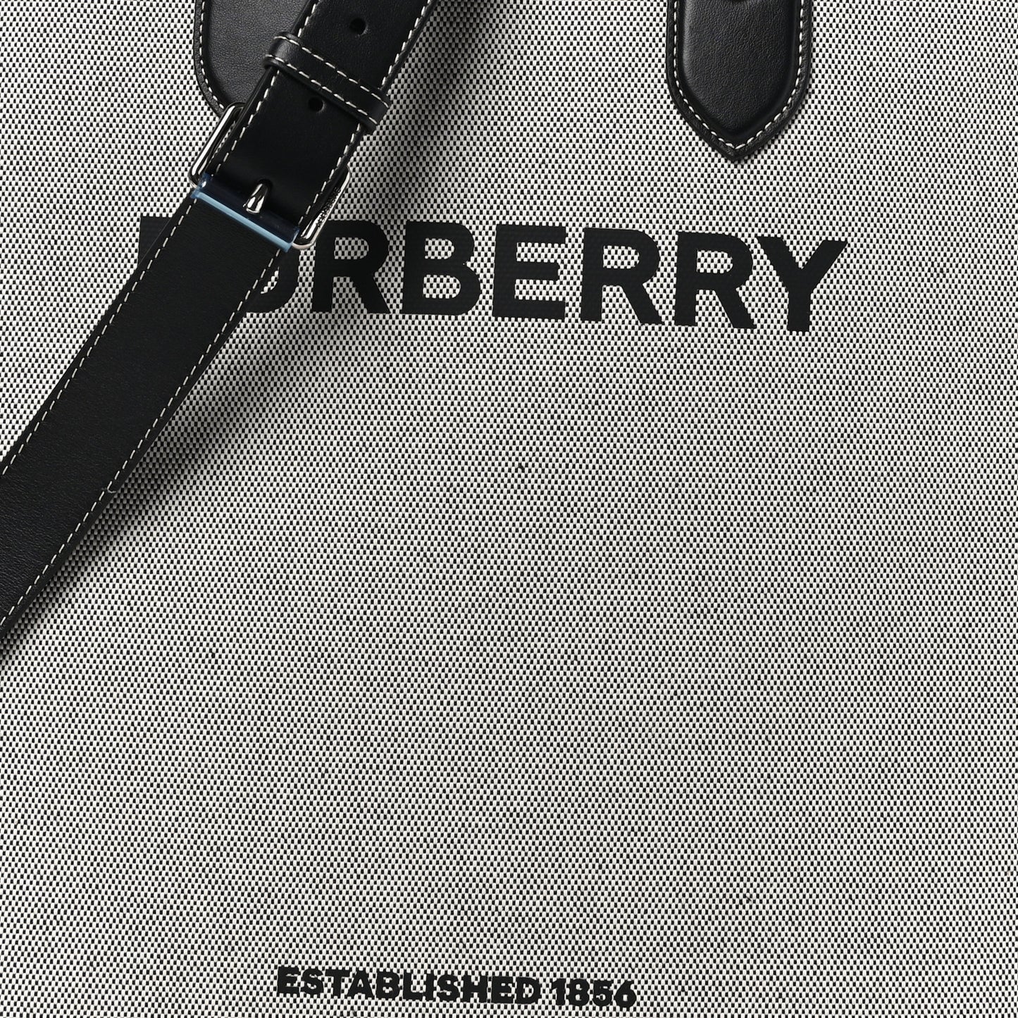 Smooth Calfskin Canvas Horseferry Print Medium Kane Tote Black