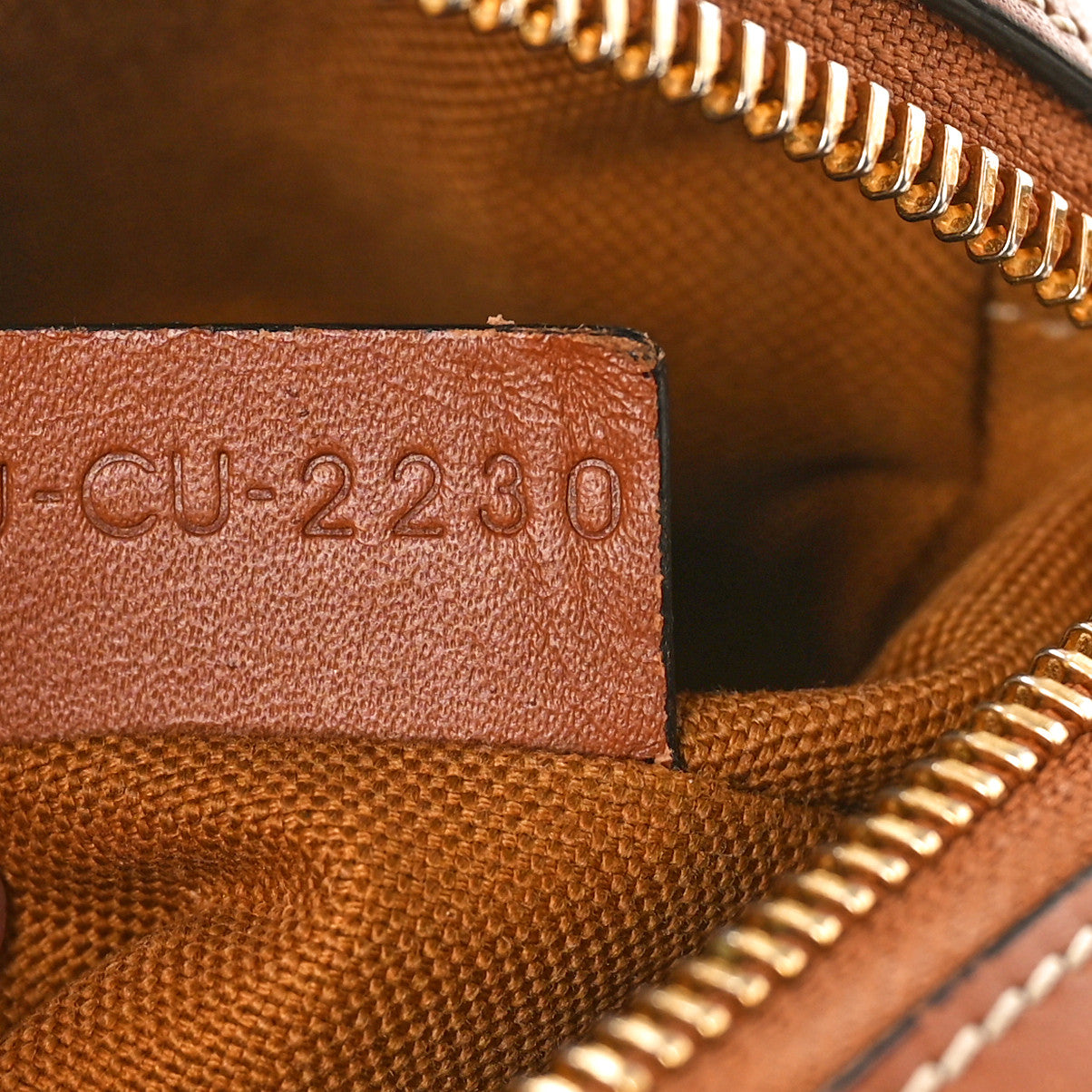 Triomphe Canvas Small Camera Bag Tan