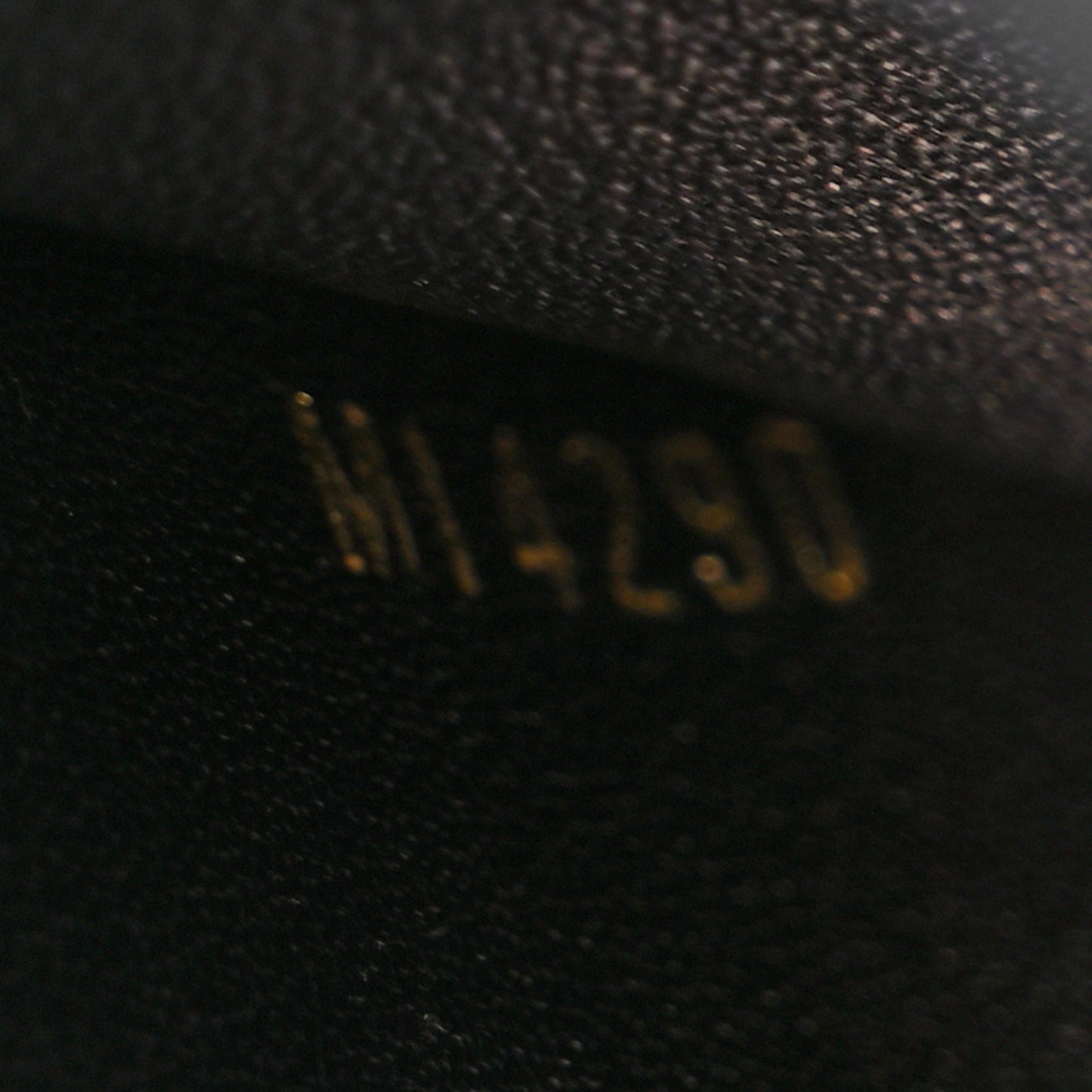 Calfskin Since 1854 Embroidered Capucines PM Black