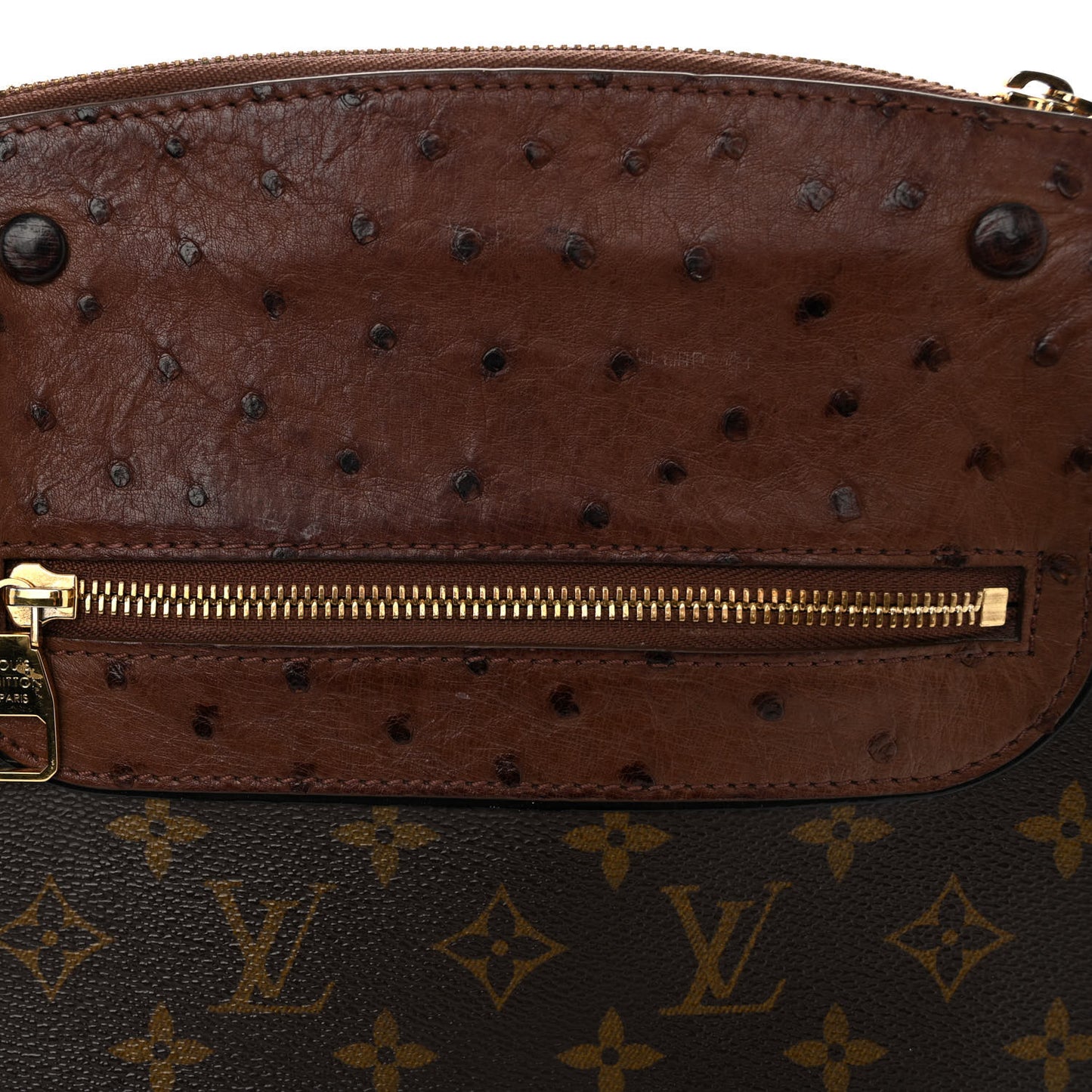 Ostrich Lizard Exotique Majestueux Shoulder Bag Vert
