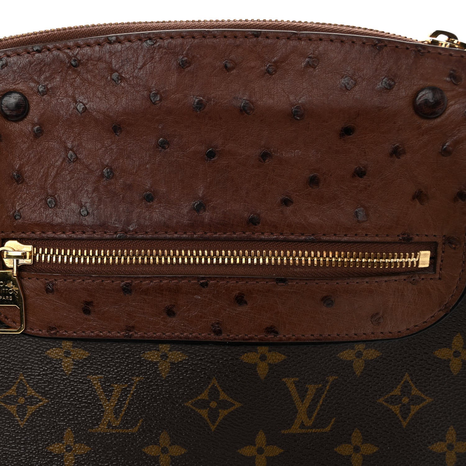 Louis Vuitton Ostrich Lizard Exotique Majestueux Shoulder Bag Vert 12 of 13