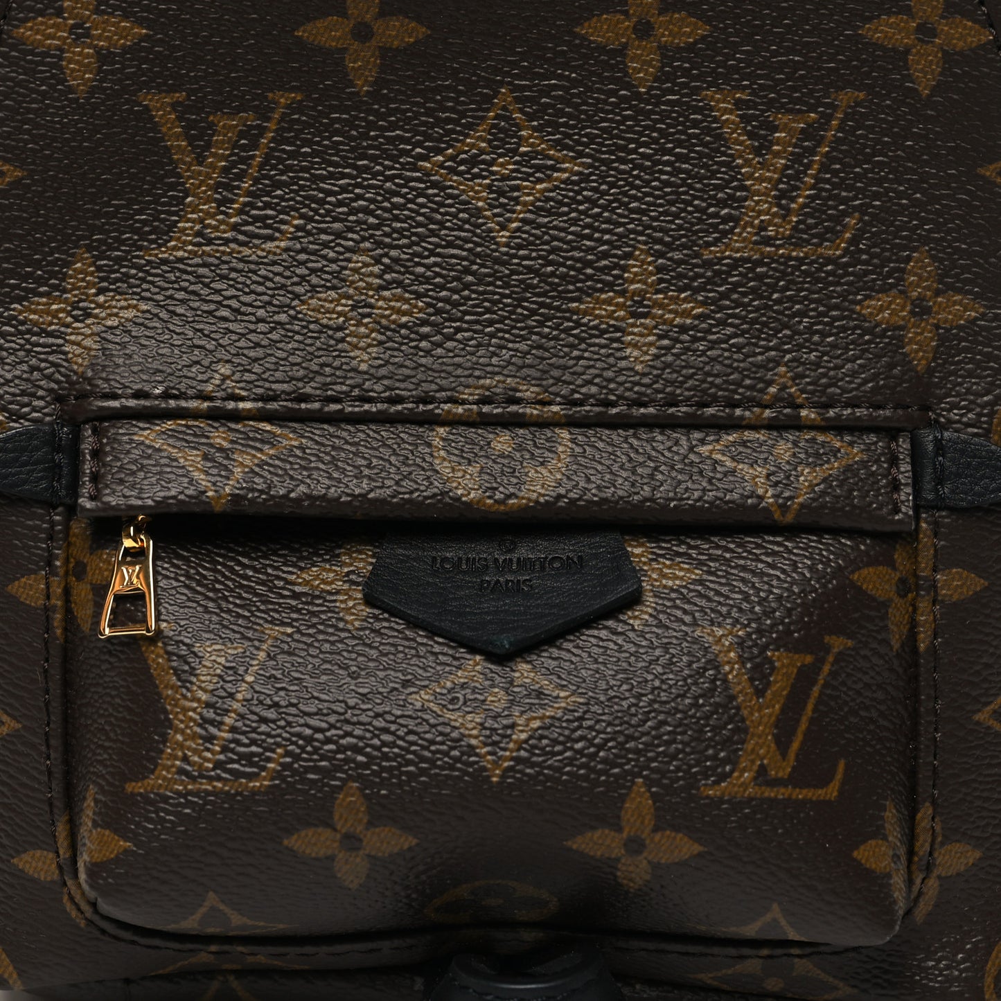 Monogram Palm Springs Backpack Mini