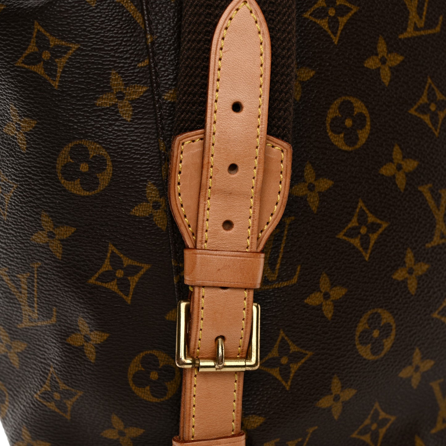 Monogram Montsouris GM Backpack