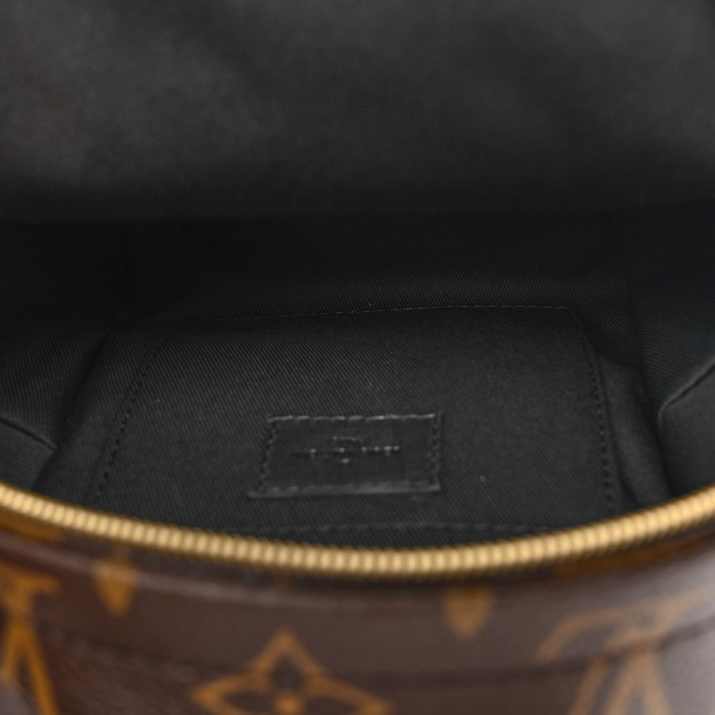 Monogram Palm Springs Backpack Mini