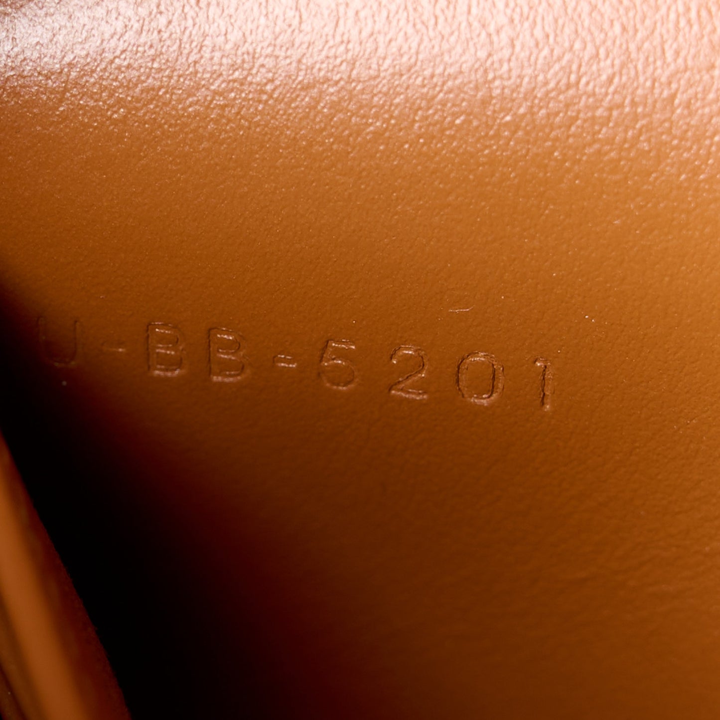 Triomphe Canvas Lambskin Wallet On Strap Tan