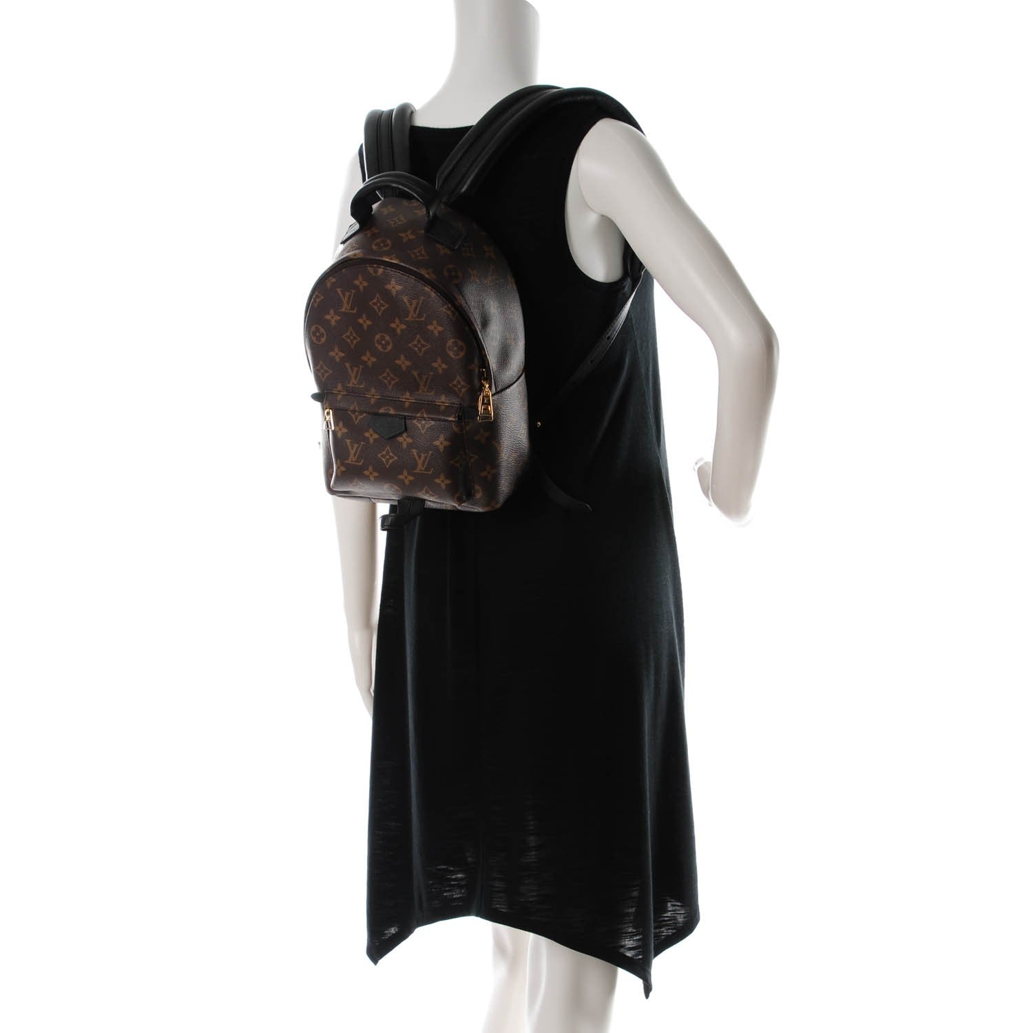 Louis Vuitton Monogram Palm Springs Backpack PM 2 of 7