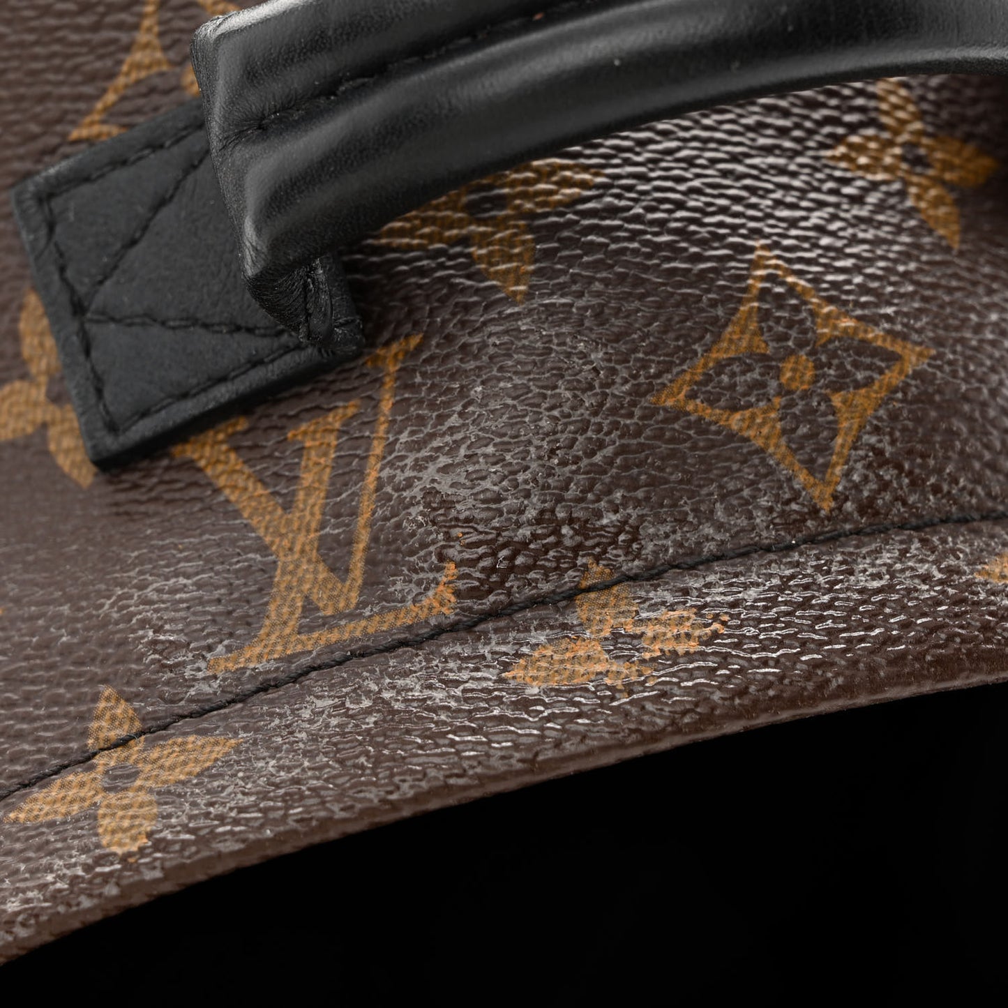 Monogram Palm Springs Backpack Mini