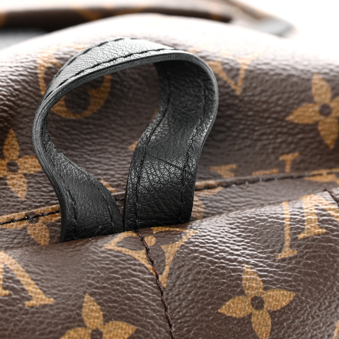Monogram Palm Springs Backpack PM
