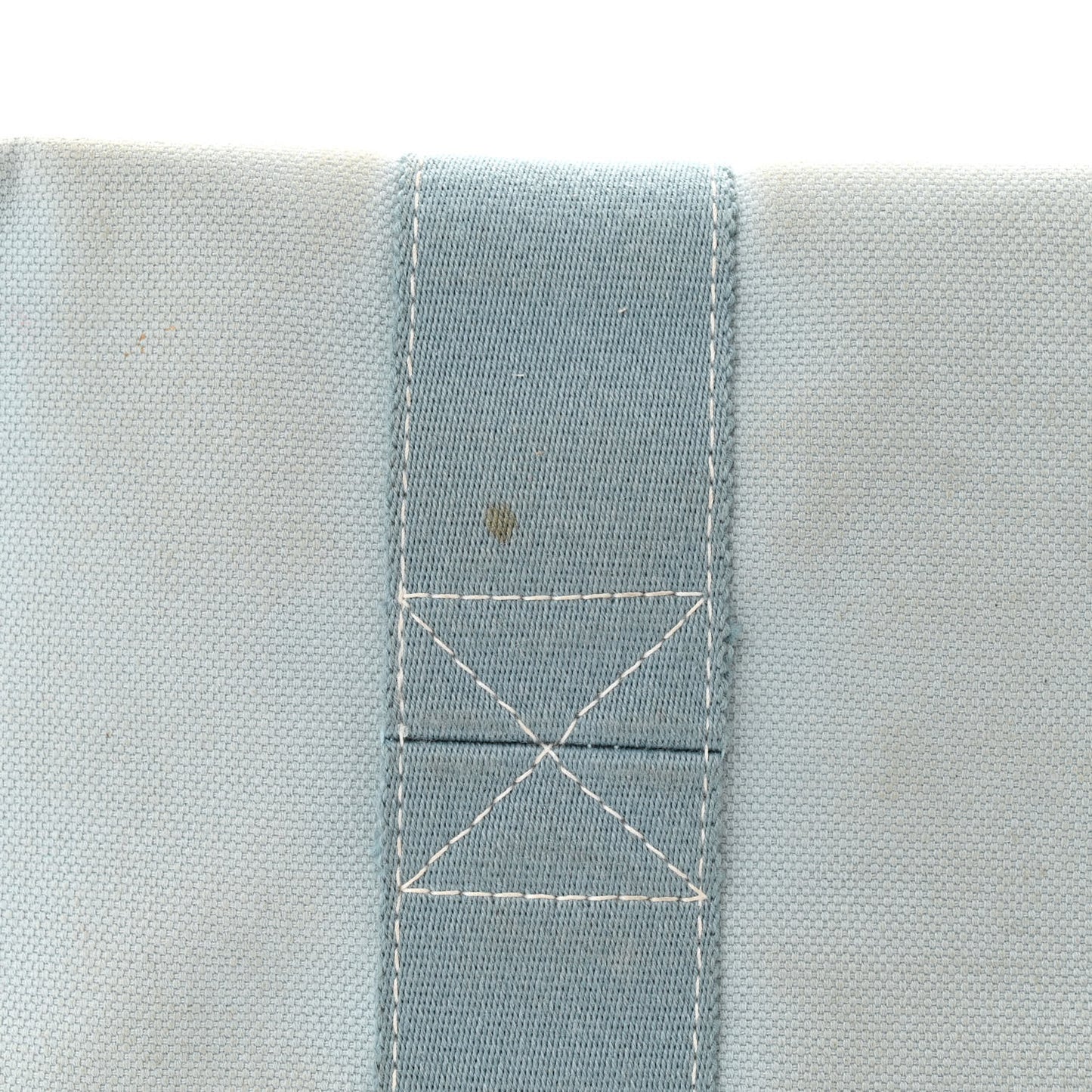 Canvas Bora Bora Tote PM Eucalyptus