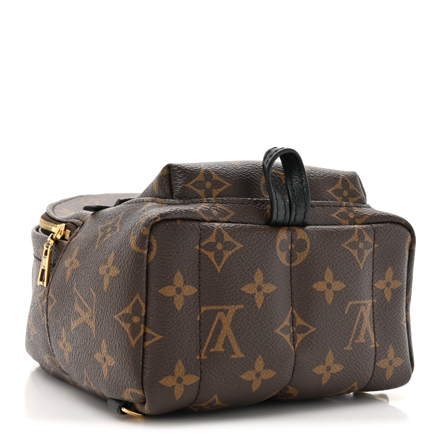 Monogram Palm Springs Backpack Mini