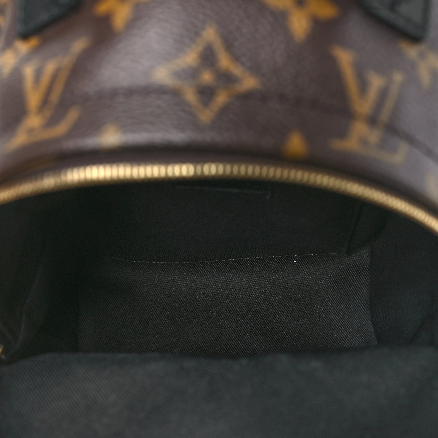 Monogram Palm Springs Backpack Mini