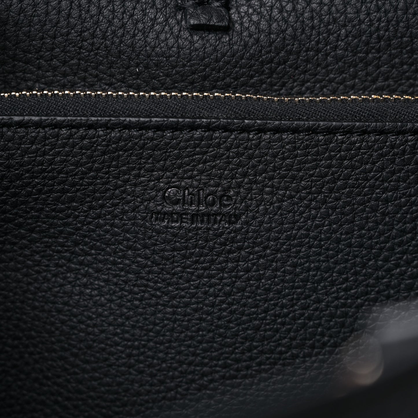 Calfskin Medium Deia Hobo Double Carry Black