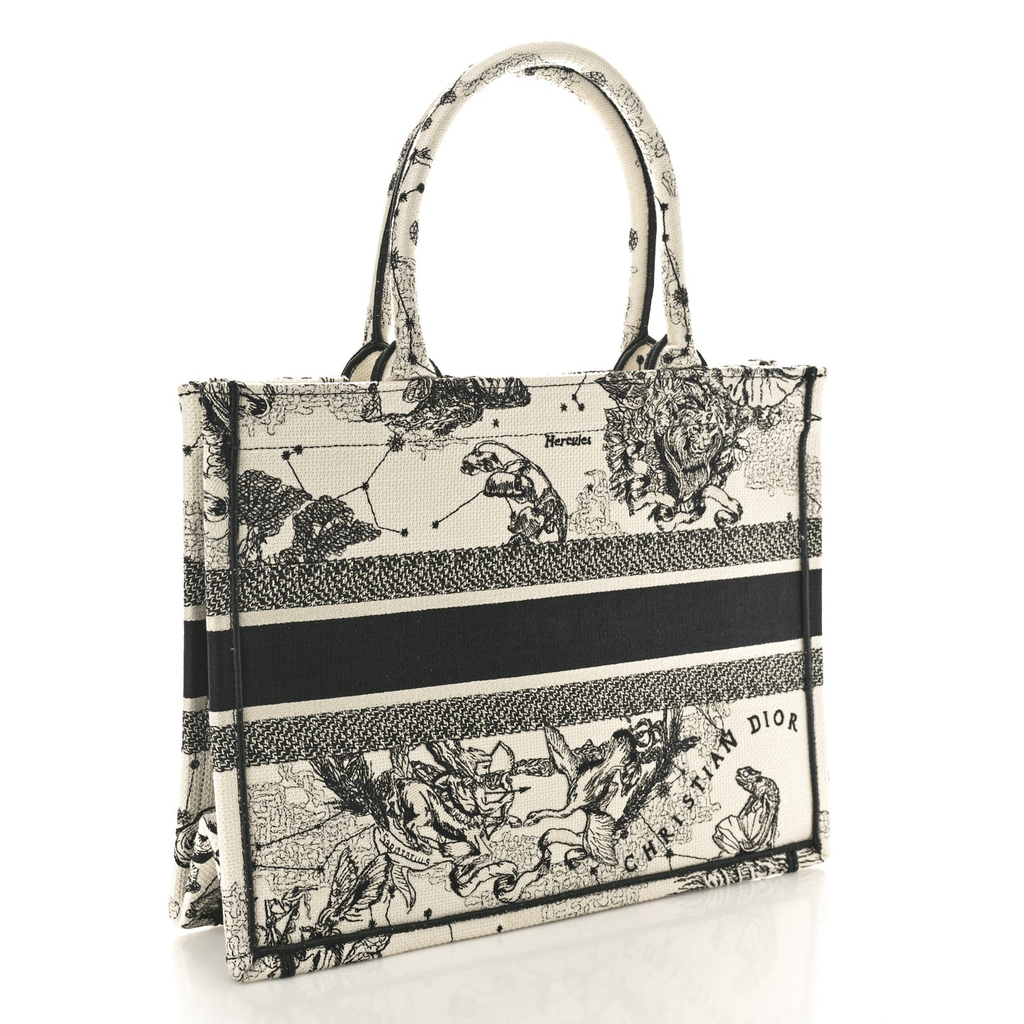 Canvas Zodiac Toile De Jouy Embroidered Medium Book Tote Latte