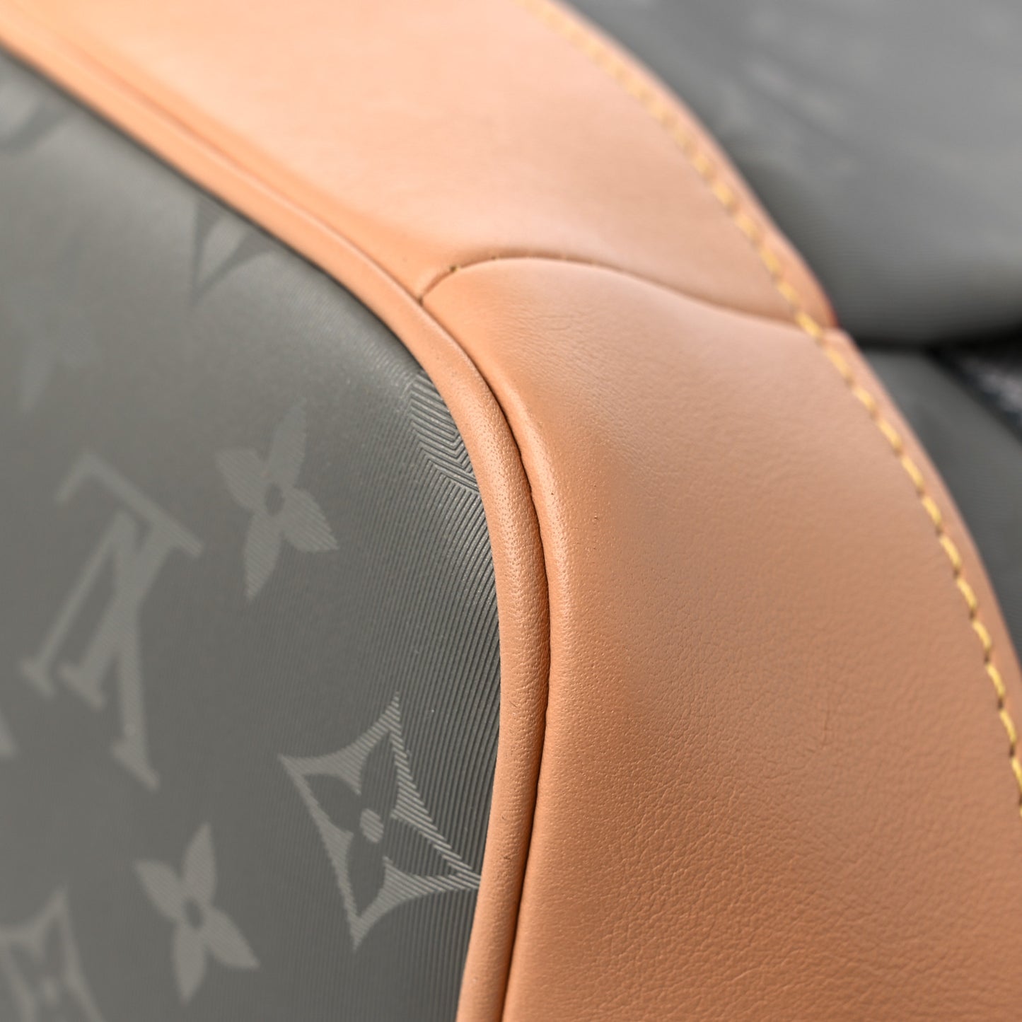 Monogram Titanium Backpack Tote