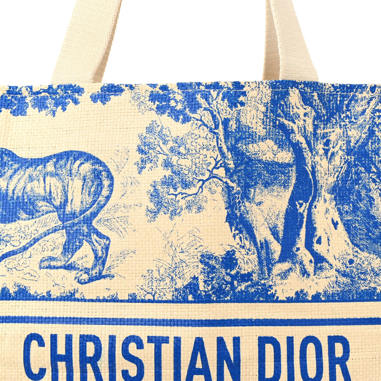 Straw Dioriviera Tote Blue
