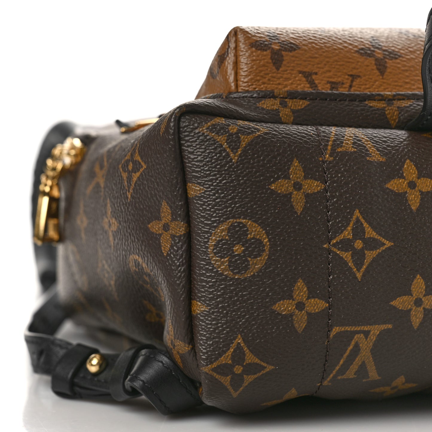 Reverse Monogram Palm Springs Backpack PM