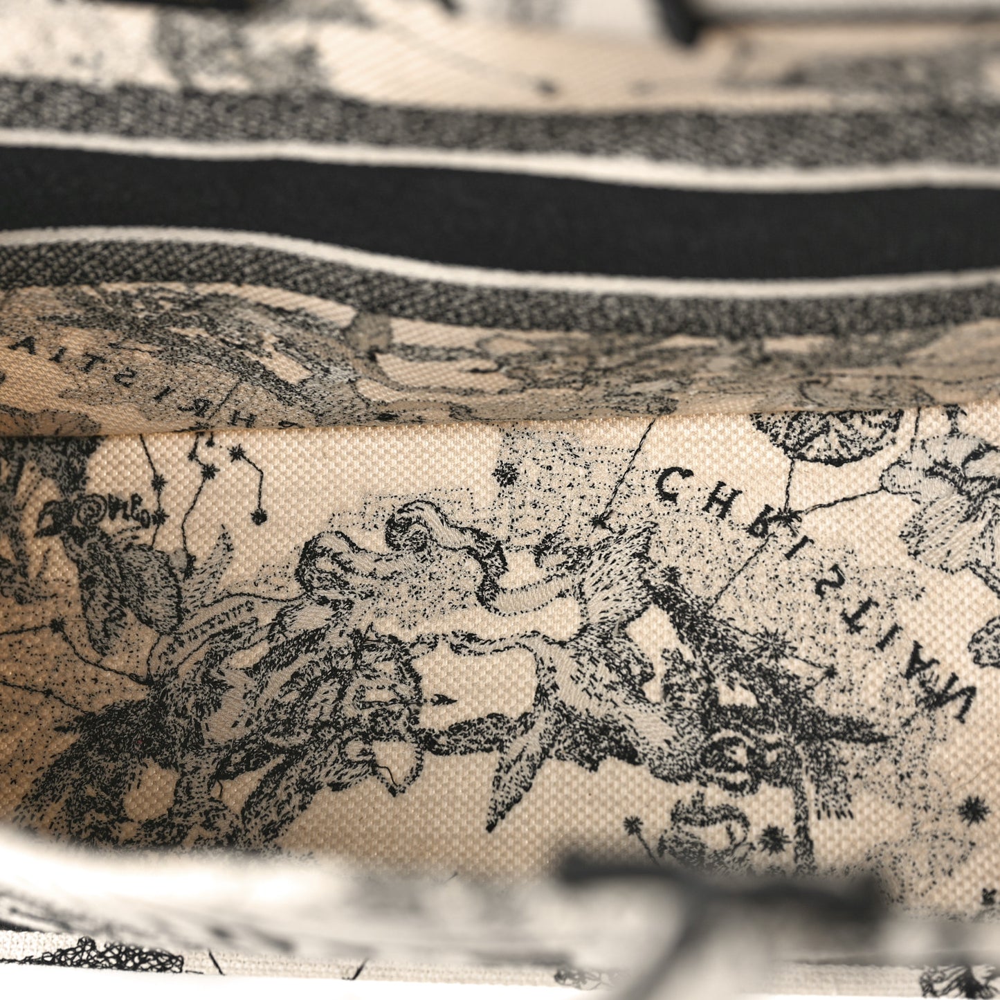 Canvas Embroidered Small Zodiac Toile De Jouy Book Tote Latte