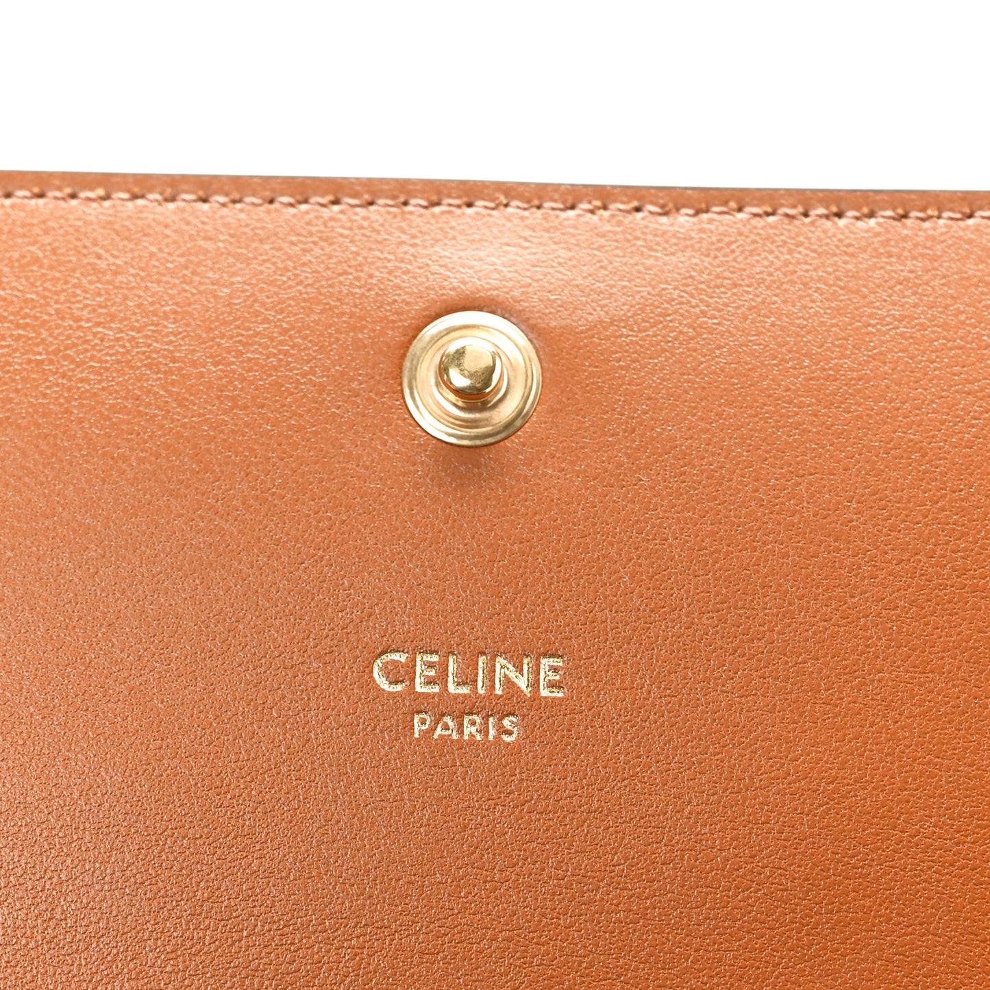 Triomphe Canvas Multipochette Tan