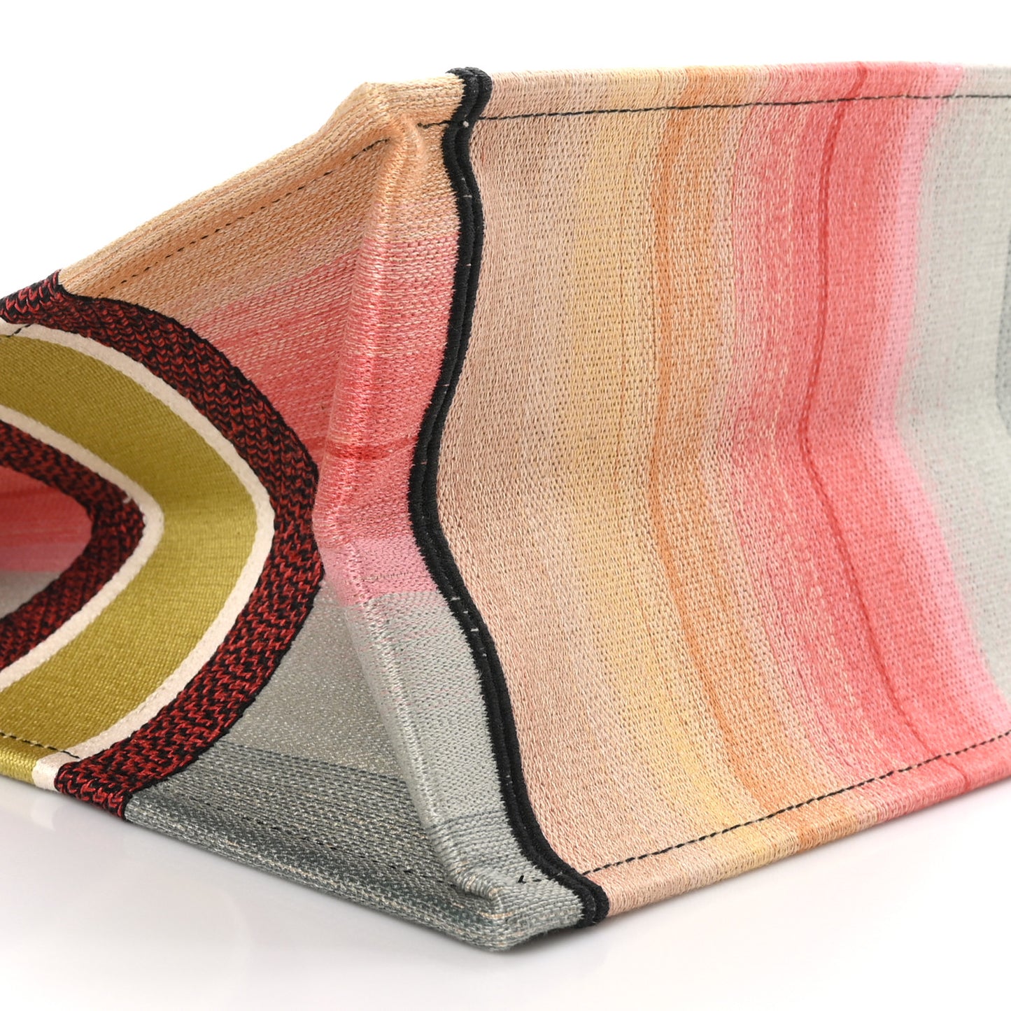 Canvas Embroidered Medium Dioraura Book Tote Multicolor