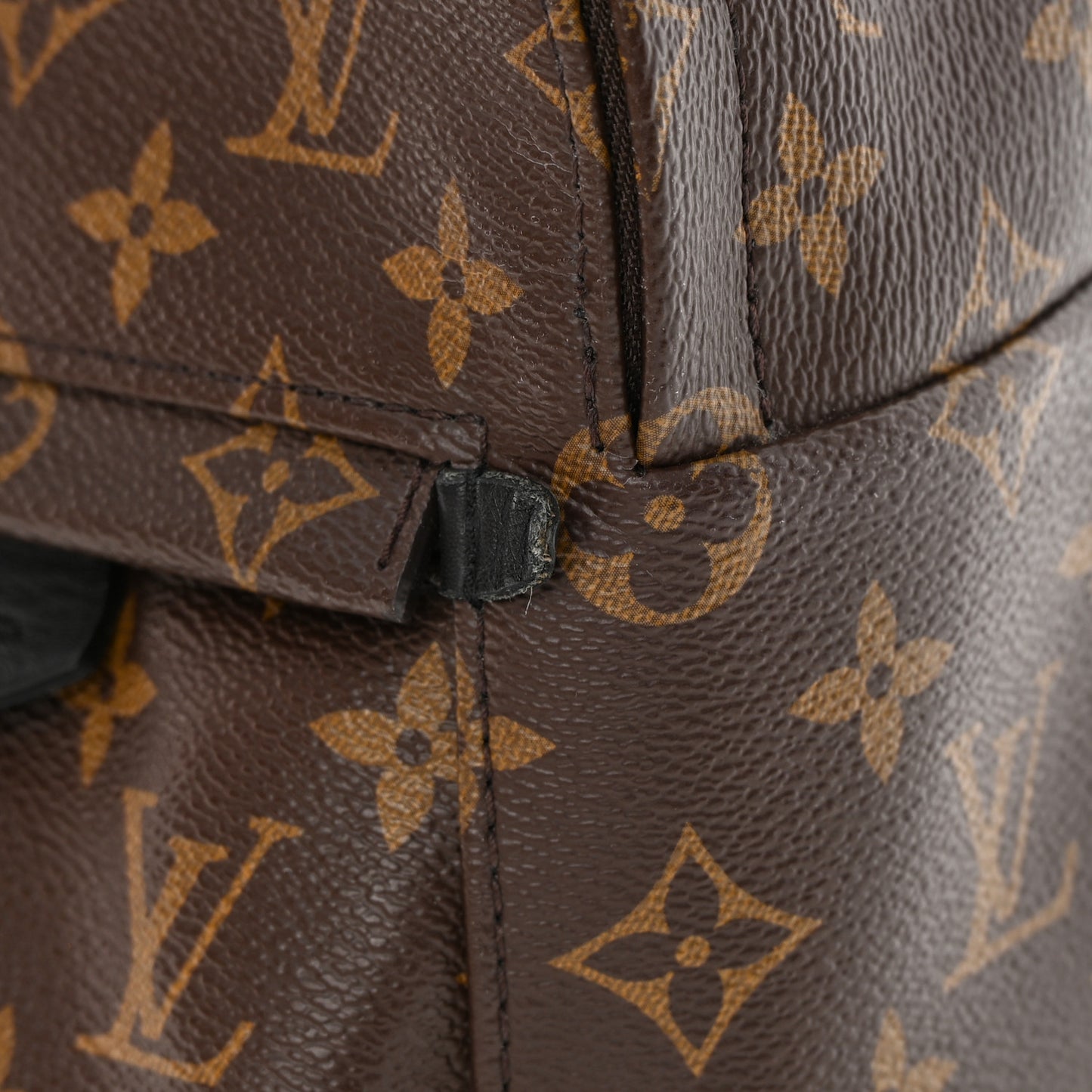 Monogram Palm Springs Backpack Mini