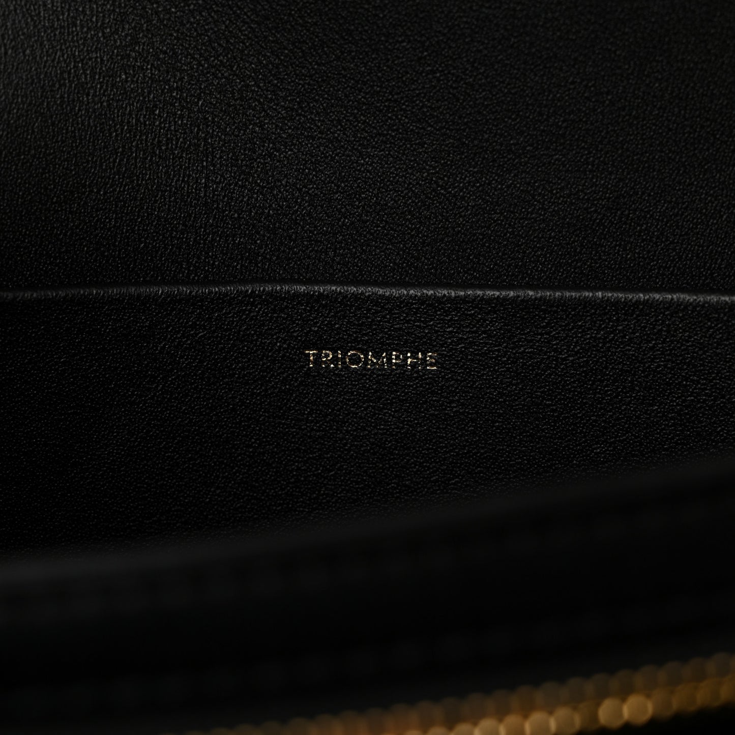 Shiny Calfskin Medium Triomphe Black