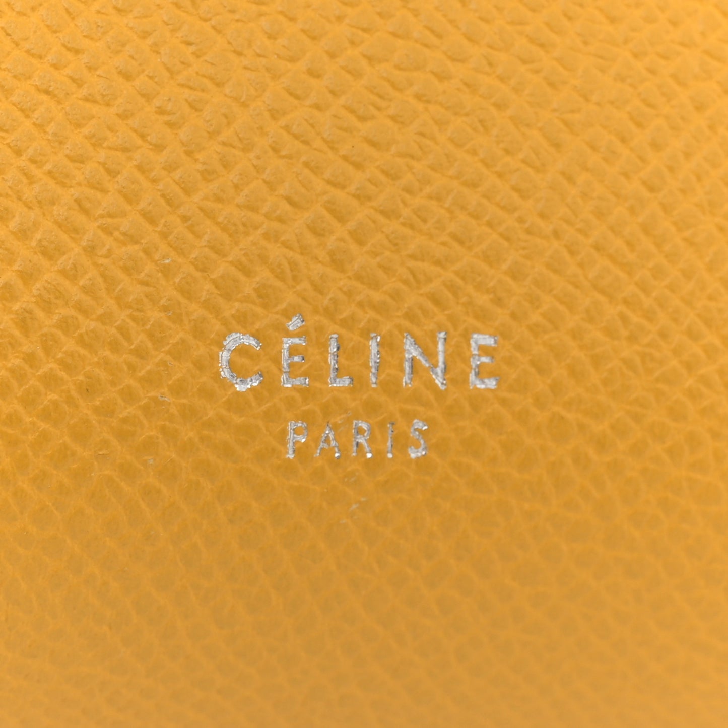 Grained Calfskin Nano Belt Bag Sunflower