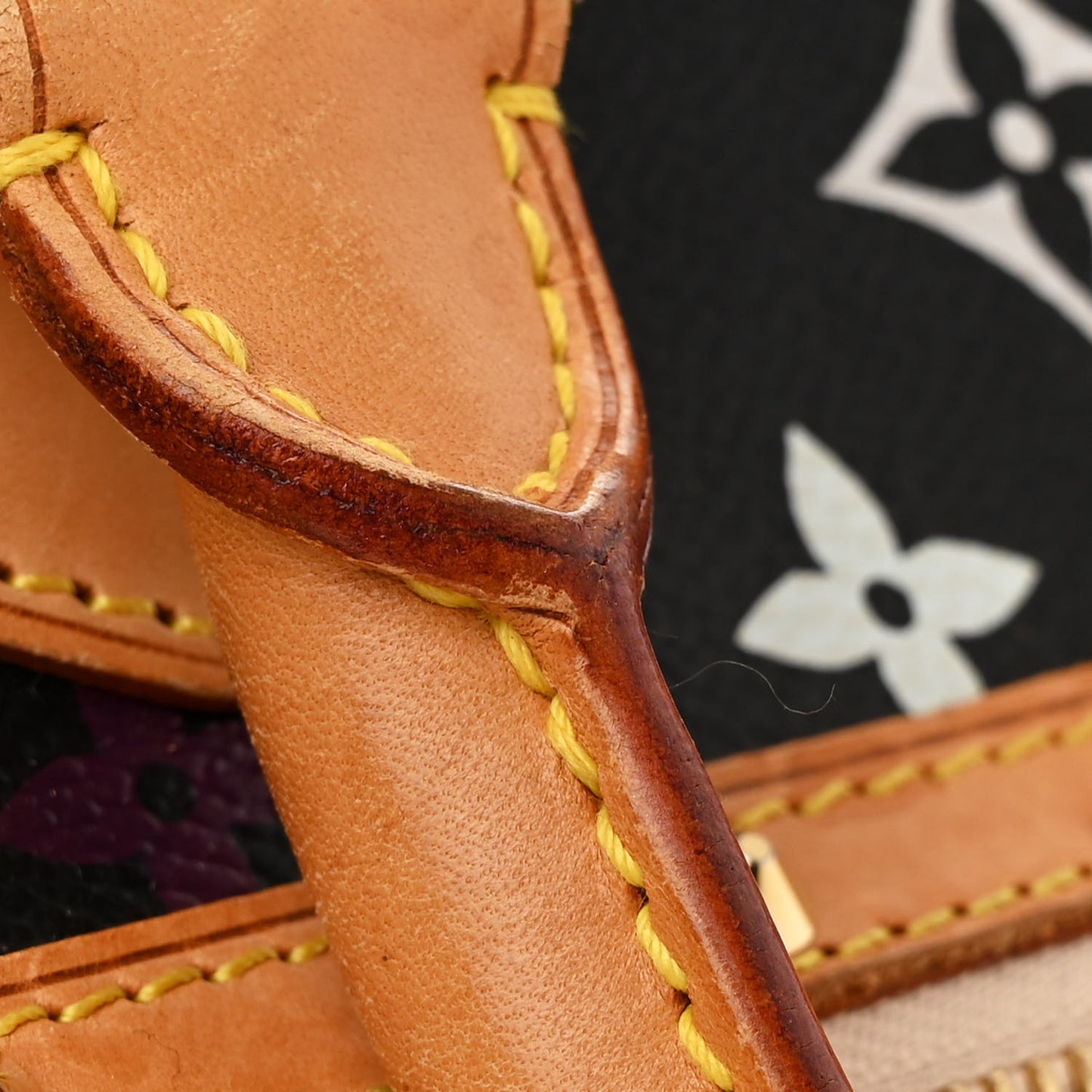 Monogram Multicolor Alma Black