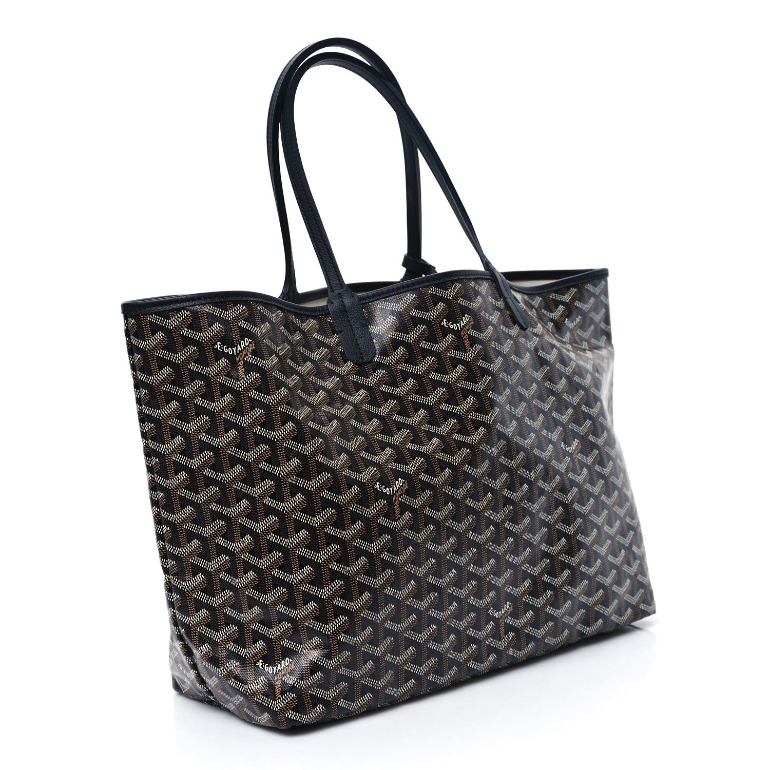 Goyard Goyardine Saint Louis PM Black 4 of 10