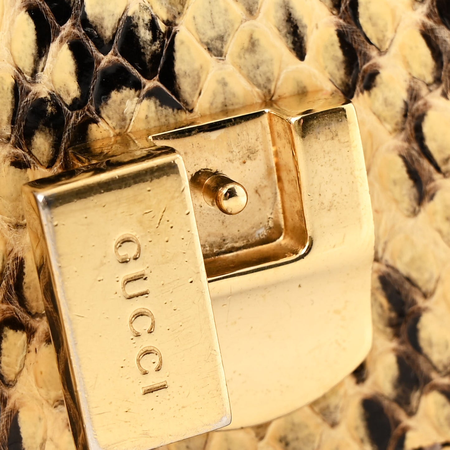 Snakeskin Mini Sylvie Chain Shoulder Bag Roccia
