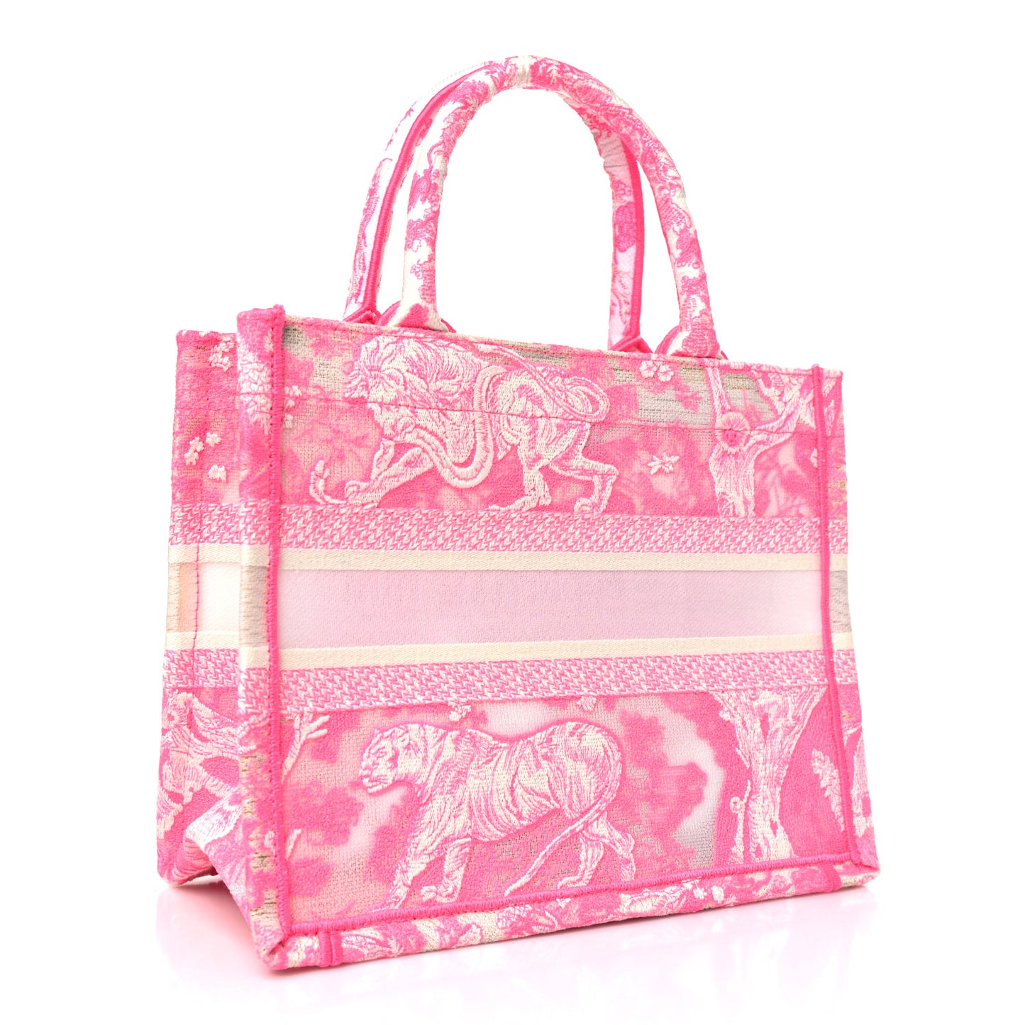 Transparent Canvas Embroidered Small Toile De Jouy Reverse Book Tote Fluorescent Pink