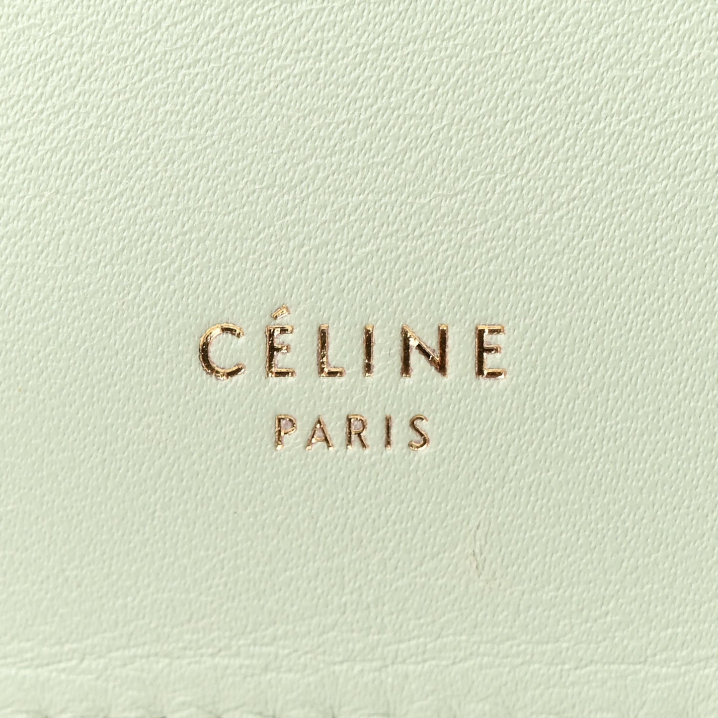 Smooth Calfskin Mini Clasp Bag Jade
