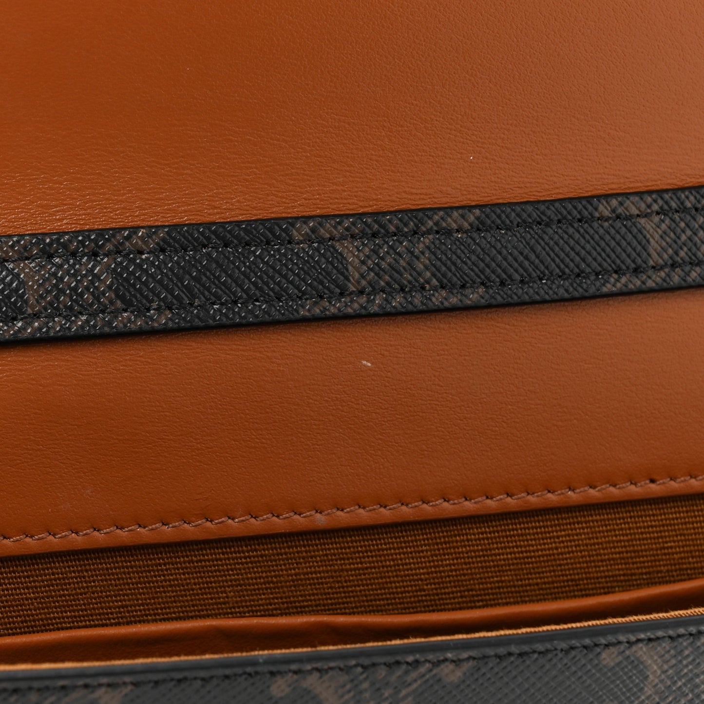 Triomphe Canvas Multipochette Tan
