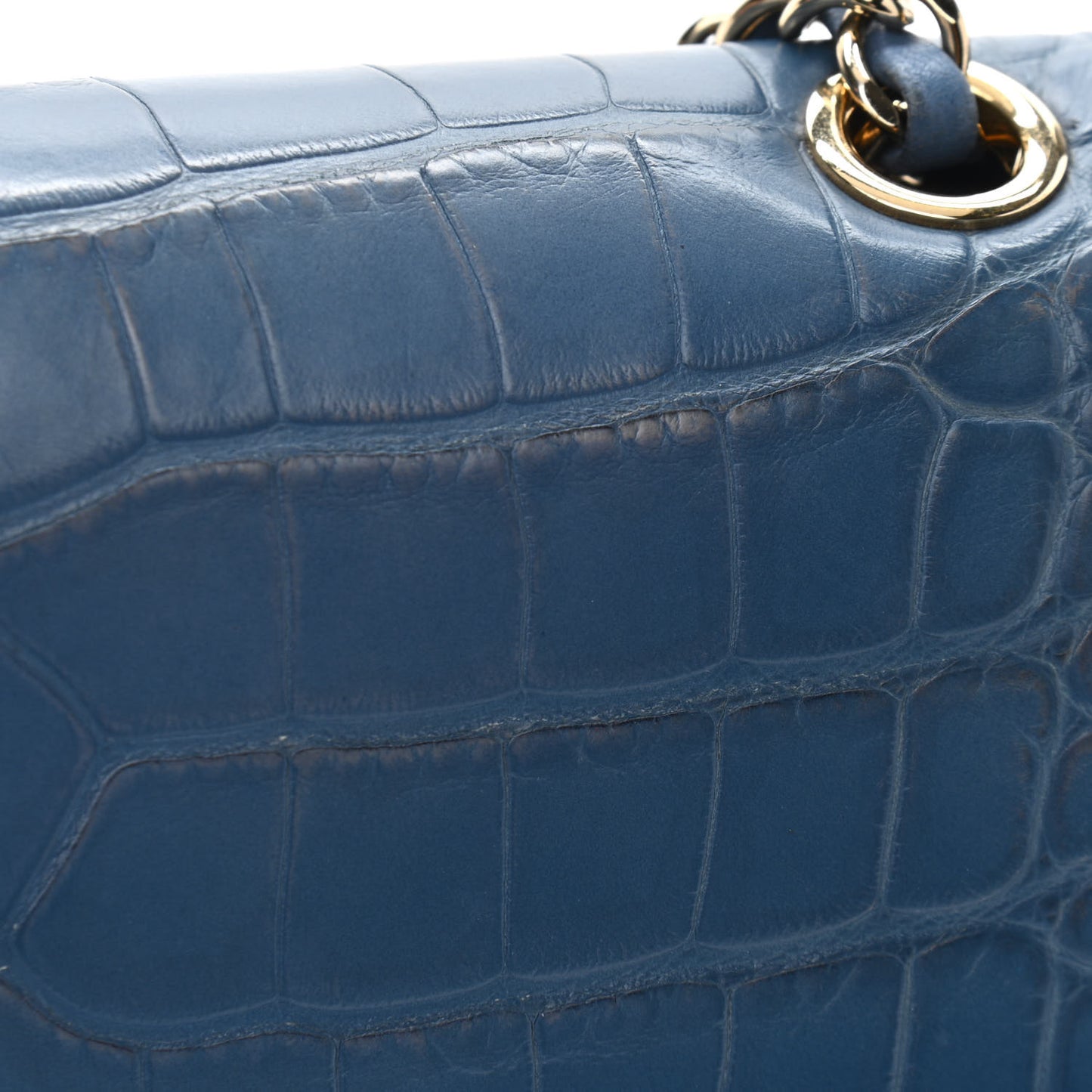 Alligator Medium Double Flap Blue