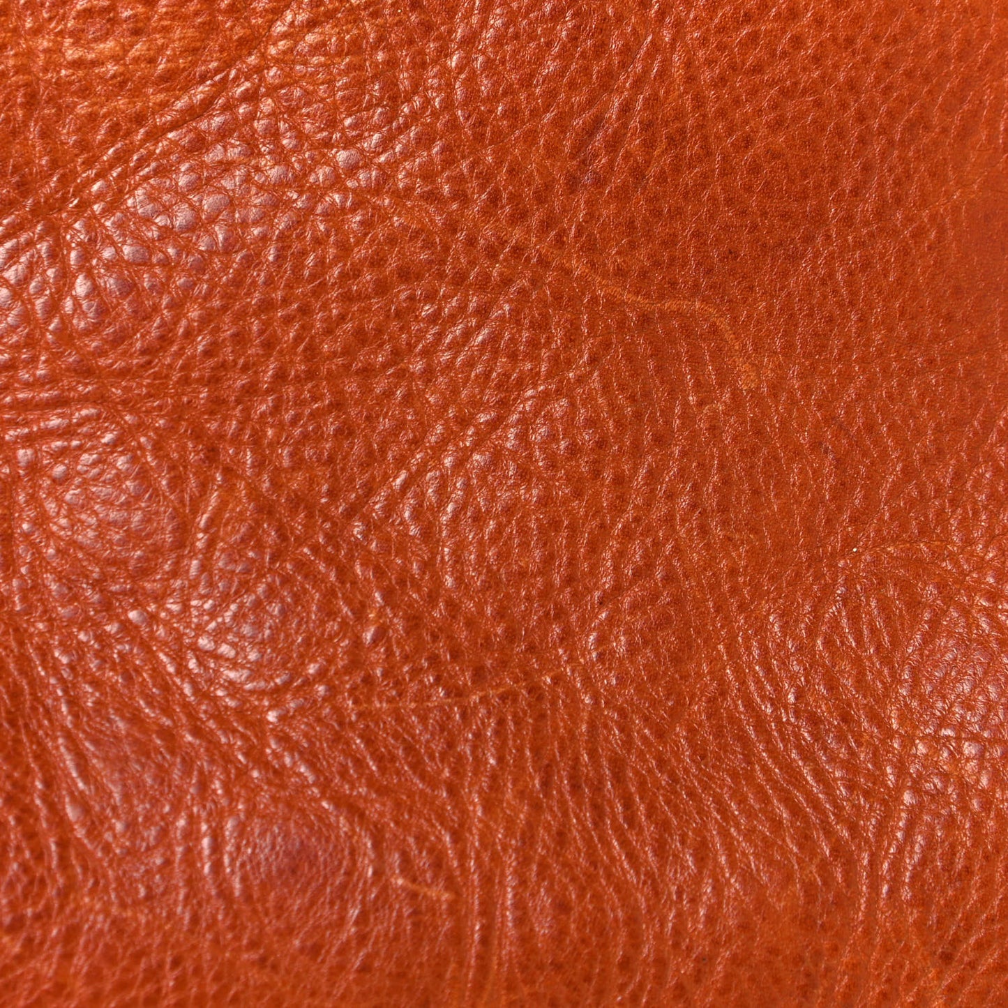 Grained Calfskin Tooled Darwin Bayswater Oak
