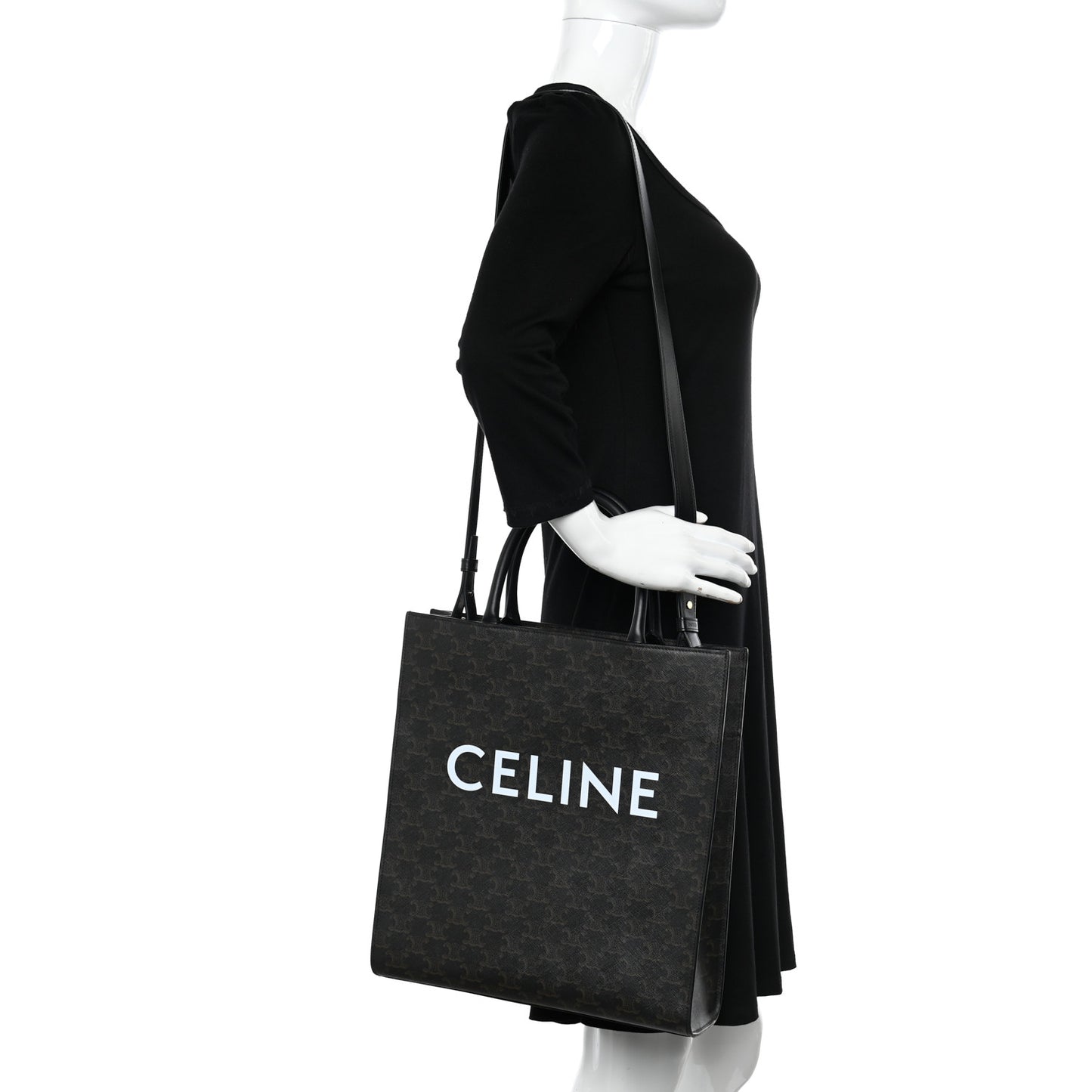 Triomphe Canvas Calfskin Medium Vertical Cabas Black