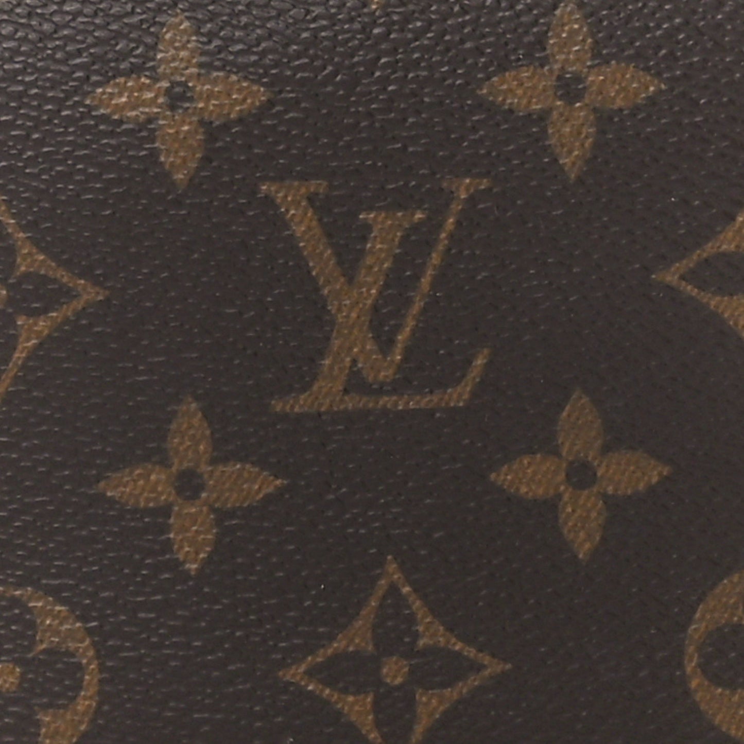 Monogram Multi Pochette Accessories Large Pochette