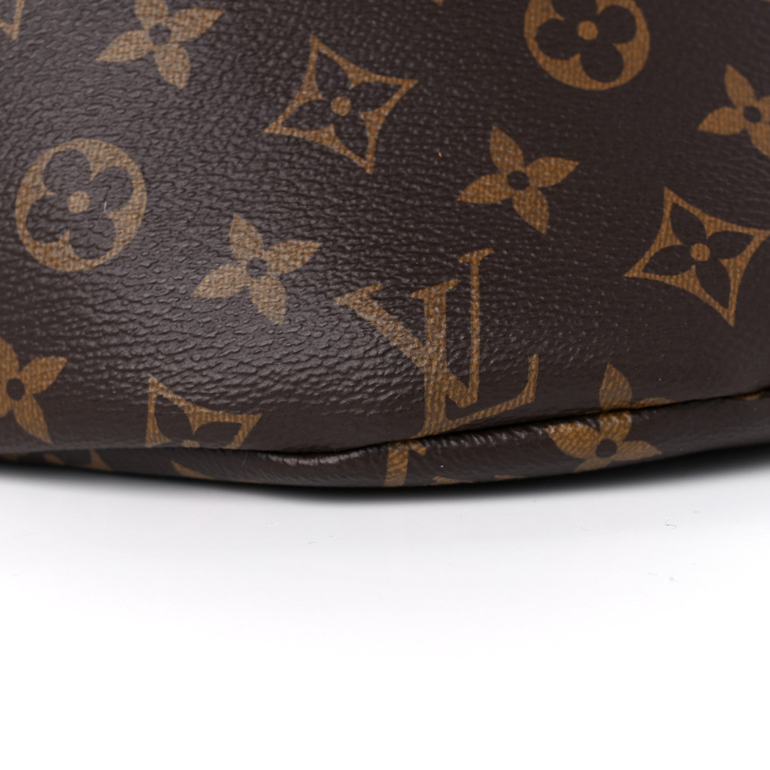 Louis Vuitton Monogram Bumbag 7 of 12