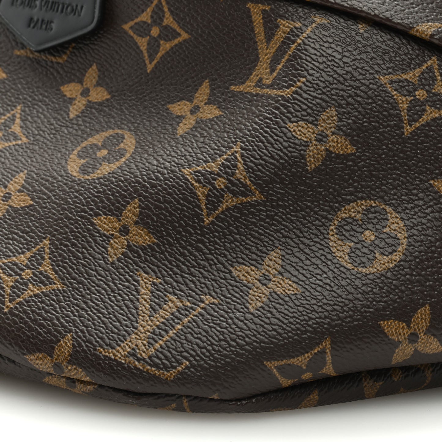 Monogram My LV World Tour Bumbag