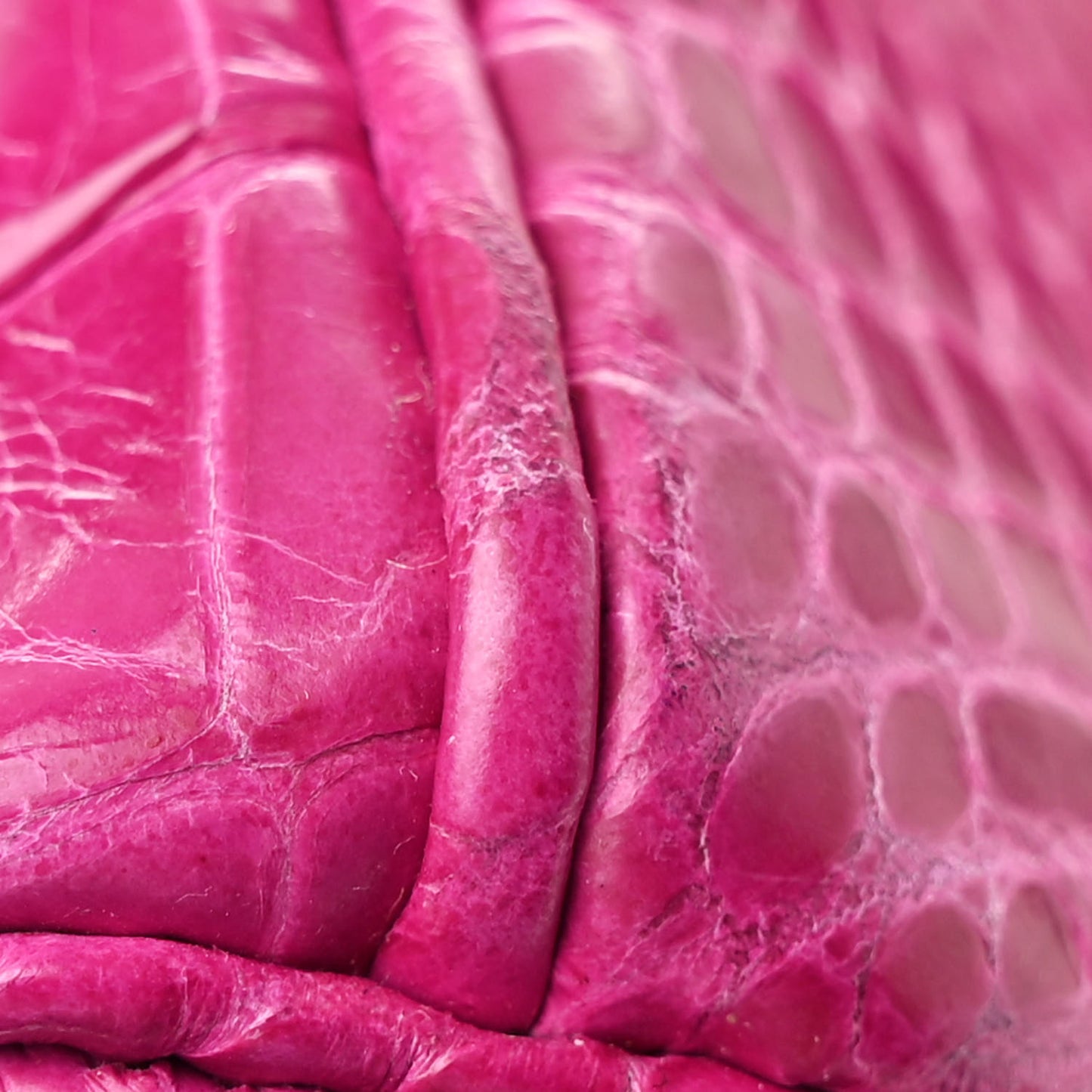 Shiny Porosus Crocodile Birkin 25 Rose Scheherazade