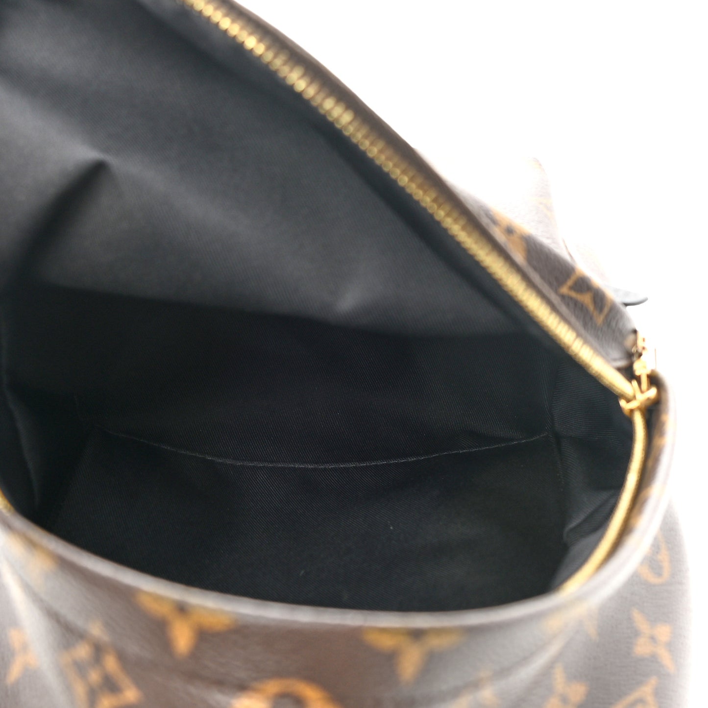 Monogram Palm Springs Backpack PM