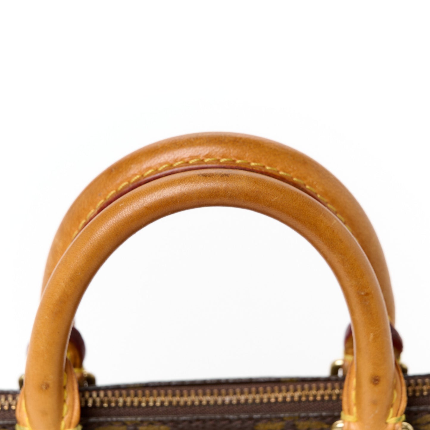 Monogram Mini Sac HL Speedy